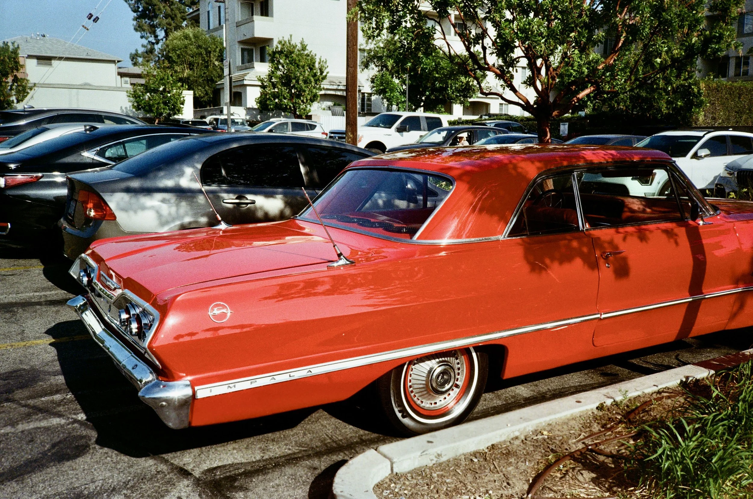 TSH-0526-23.jpg