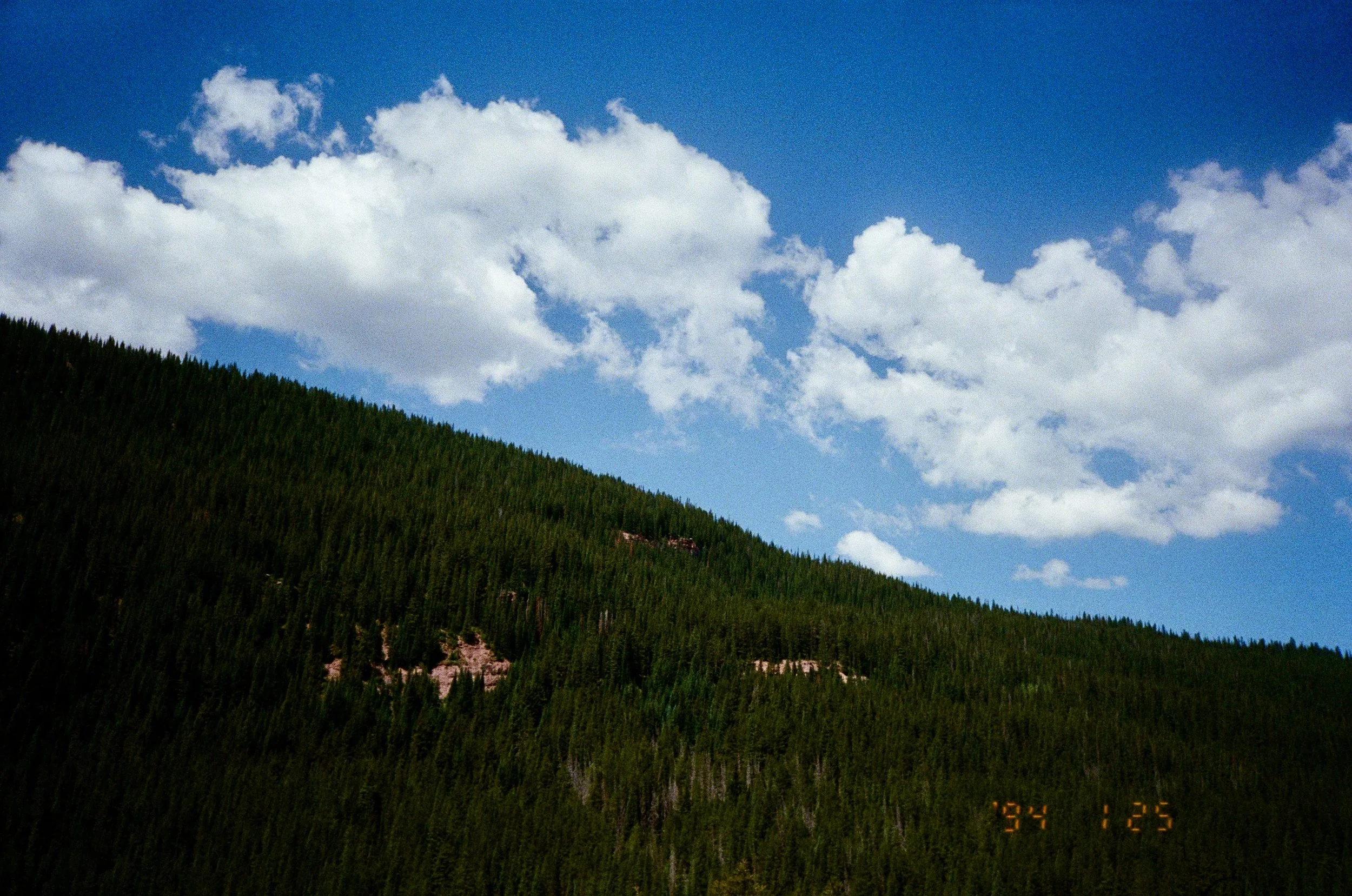 TSH-0726-60.jpg