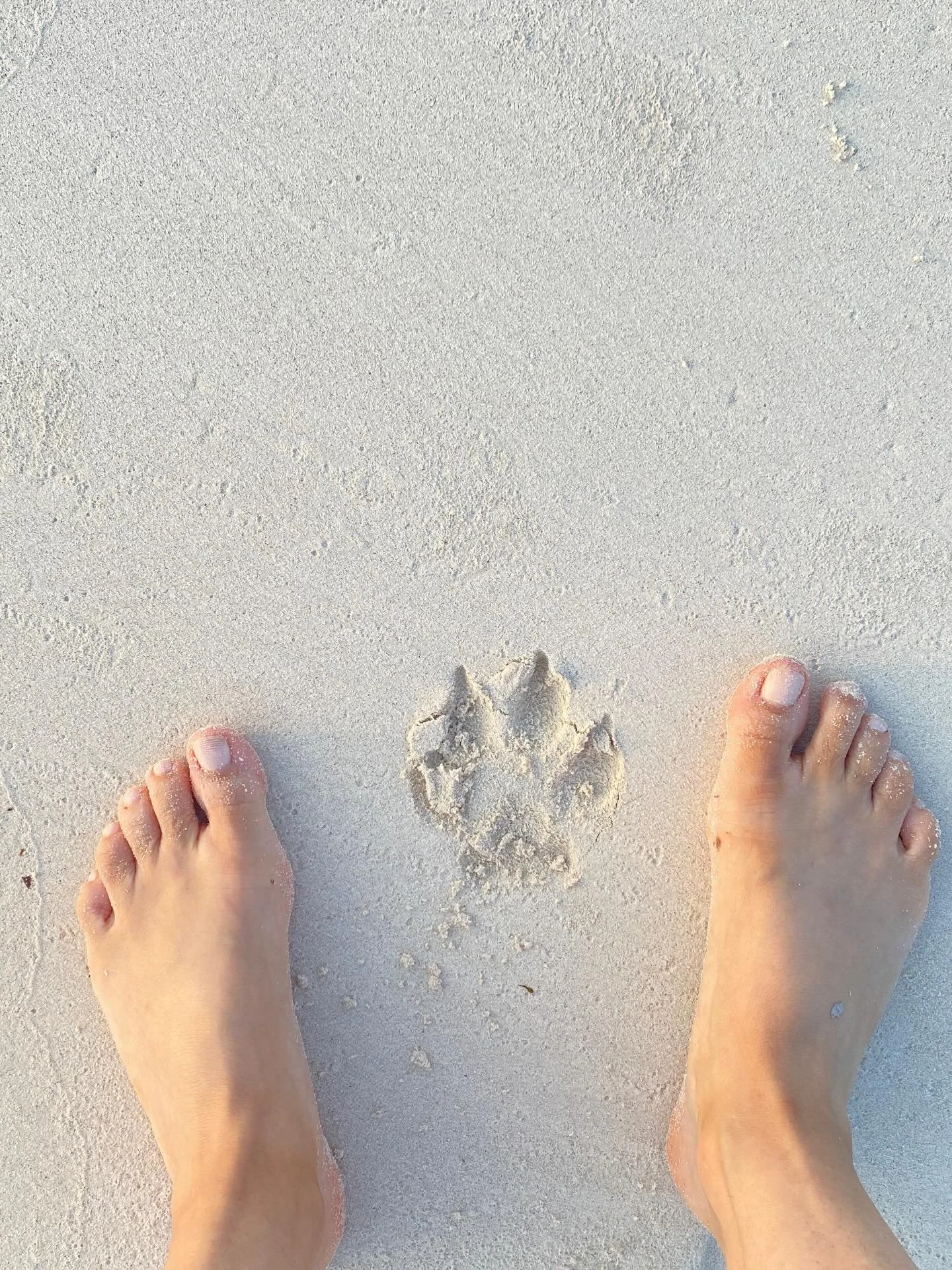 Last year started with great loss and continued with more unpleasant surprises, the kind of stuff that makes you stronger and wiser but that you could have gladly done without.

In the midst of my personal pain, life went on, projects continued and e