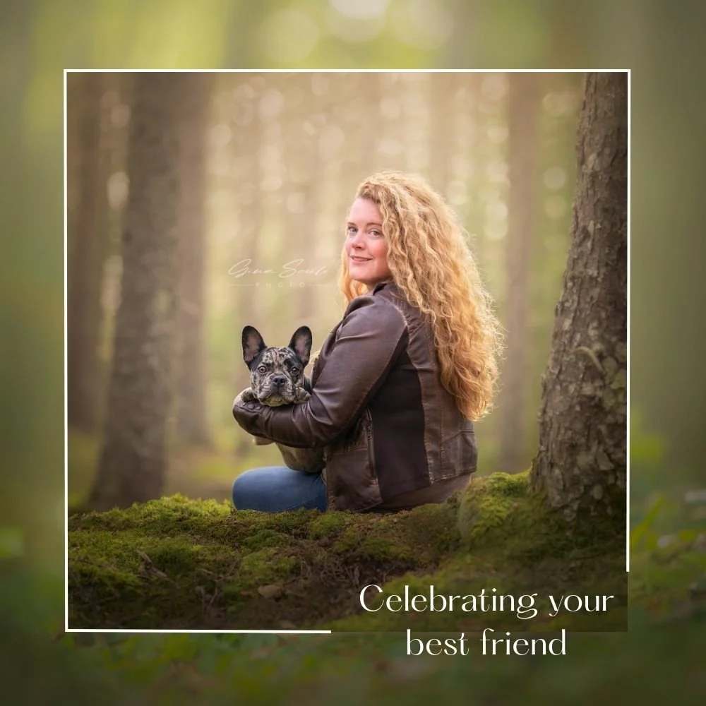 Celebrating your Best Friend - Maine Dog Photography