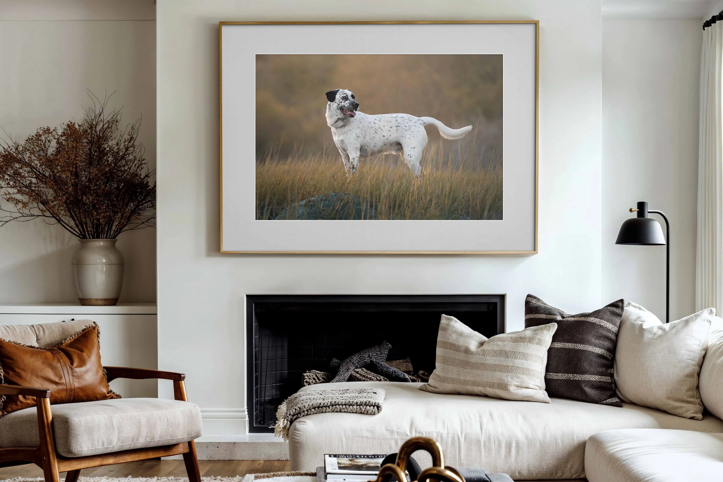 Professional-Pet-Photographer-Portland-Maine.jpg