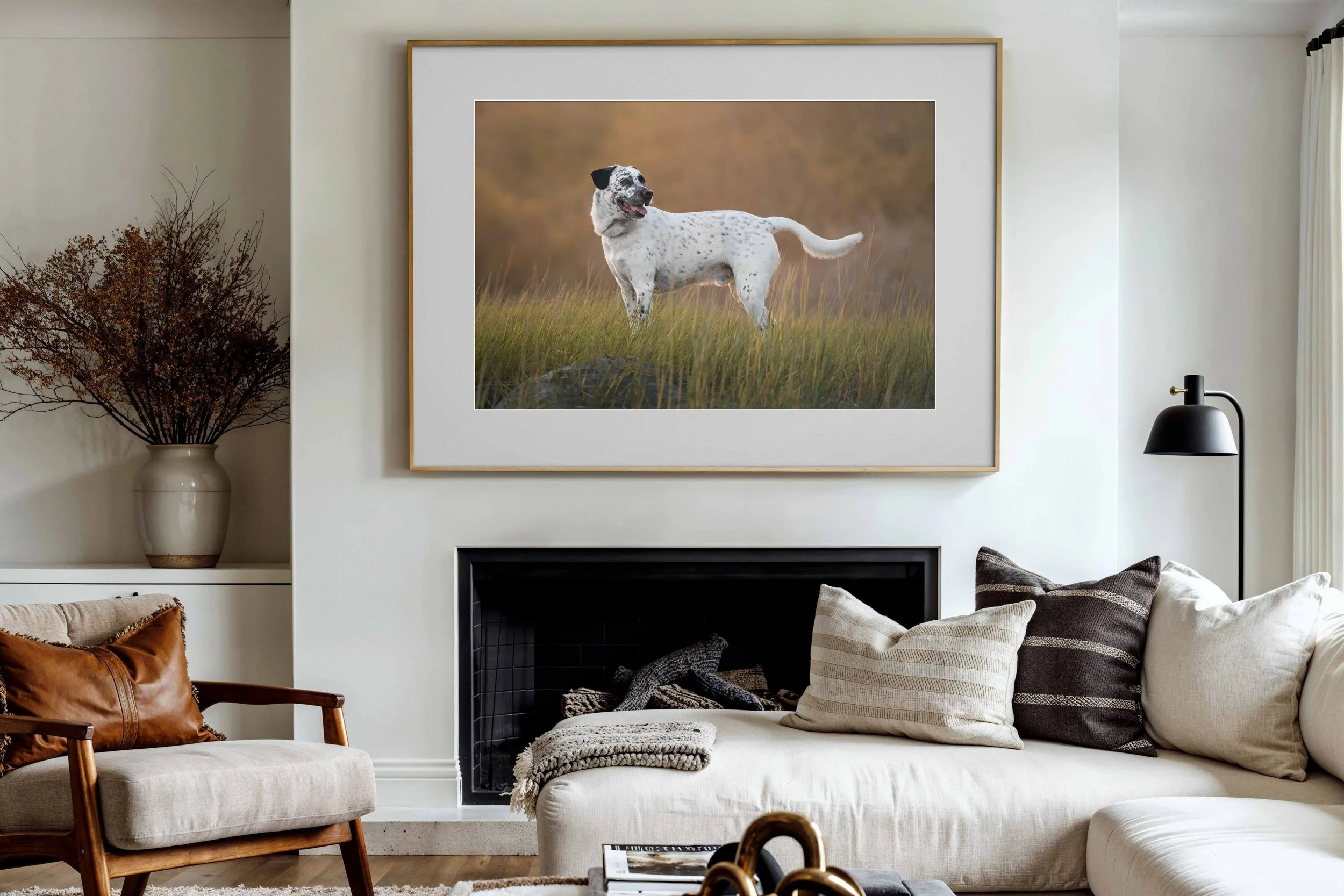 Maine-Professional-Pet-Photography.jpg
