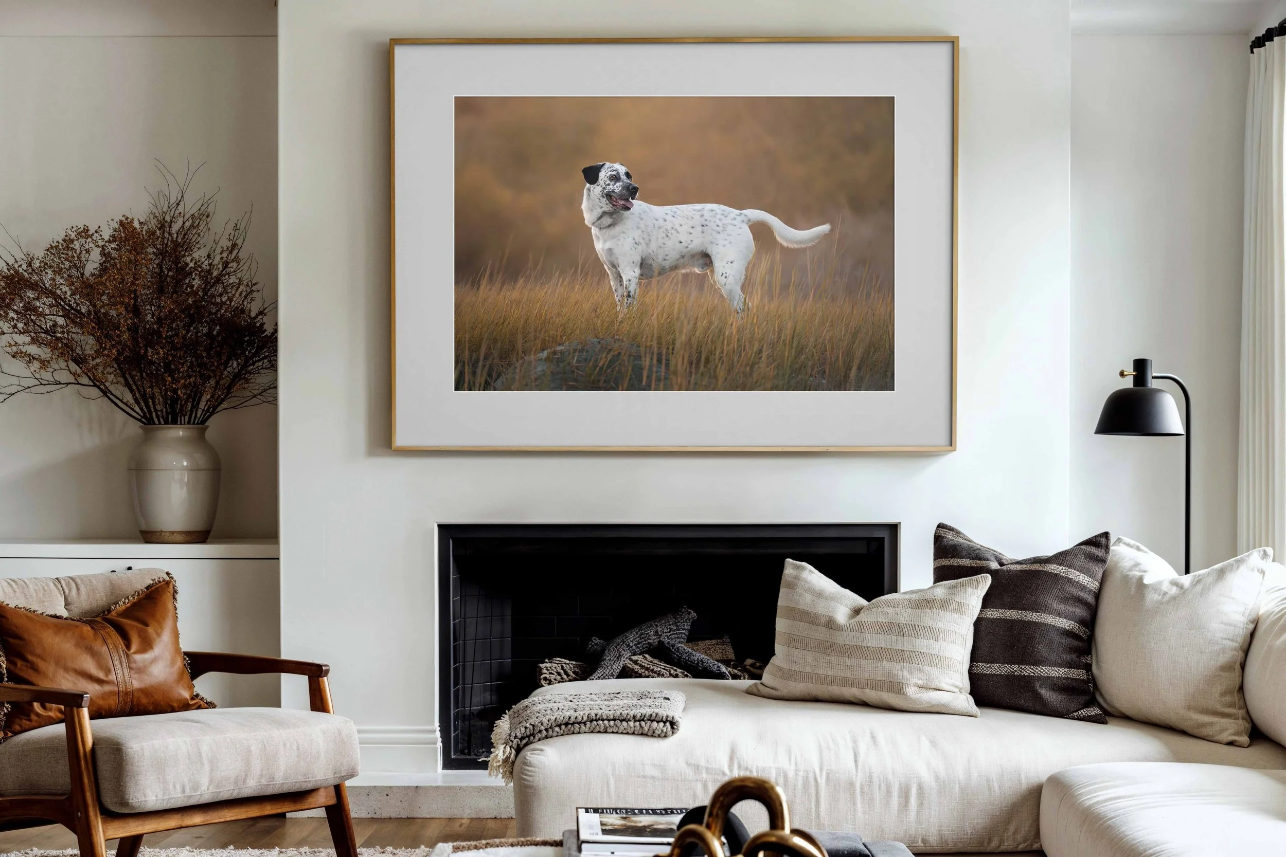 Maine-Pet-Photographer.jpg