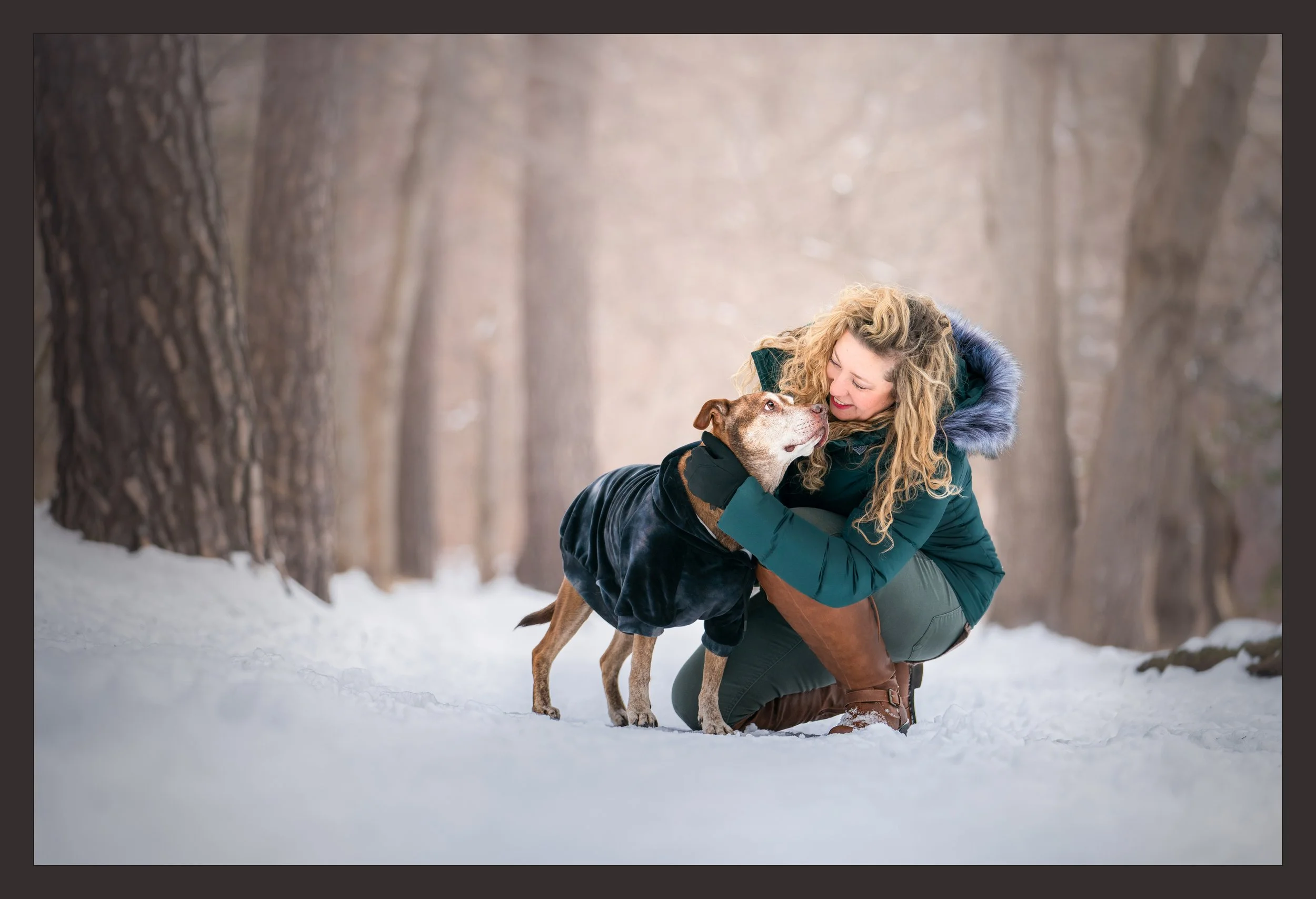 Woman hugging her rescue pitbull in a snowy forest during her dog photography session at Mackworth Island State Park.