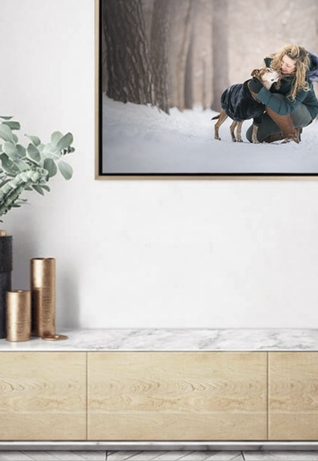 Interior of a room with a light wooden cabinet, a white marble top, a green potted plant, and a framed outdoor scene photograph of a woman hugging a dog in the snow.