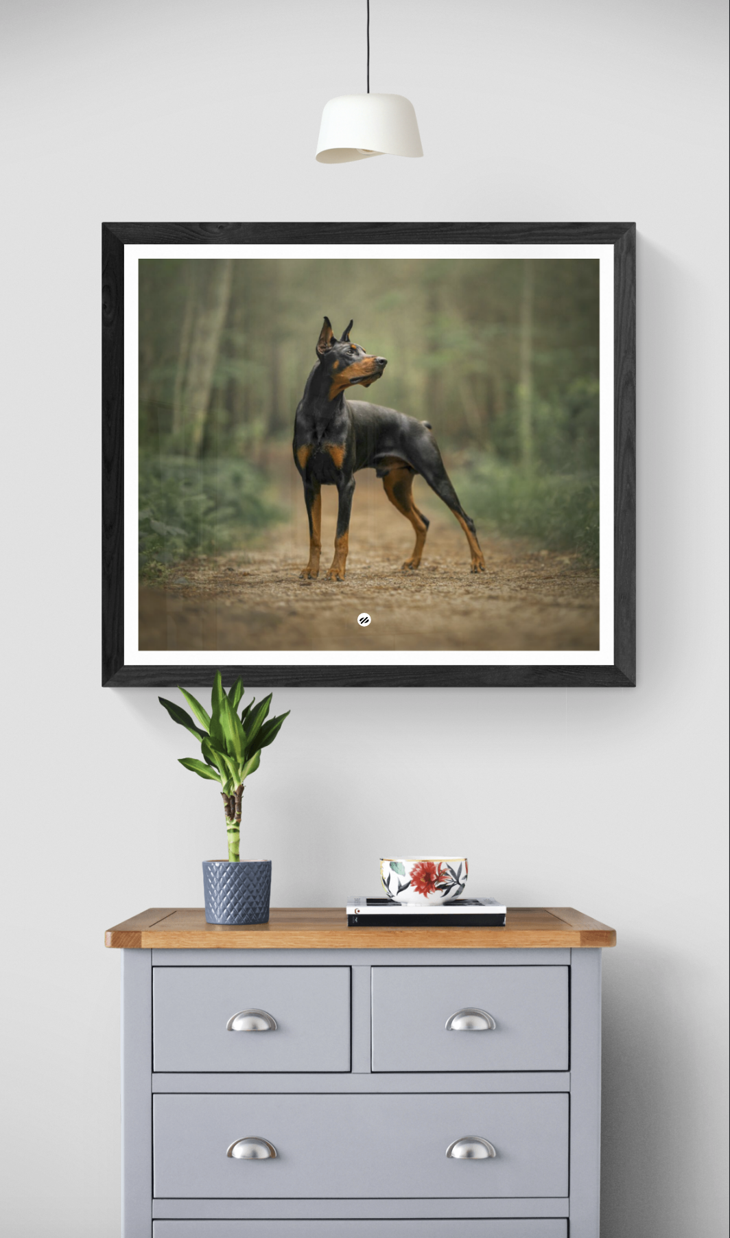 A framed picture of a Doberman dog standing on a forest path, hanging on a white wall above a light gray dresser with a wooden top. On the dresser, there is a potted green plant, a stack of books, and a decorative bowl.