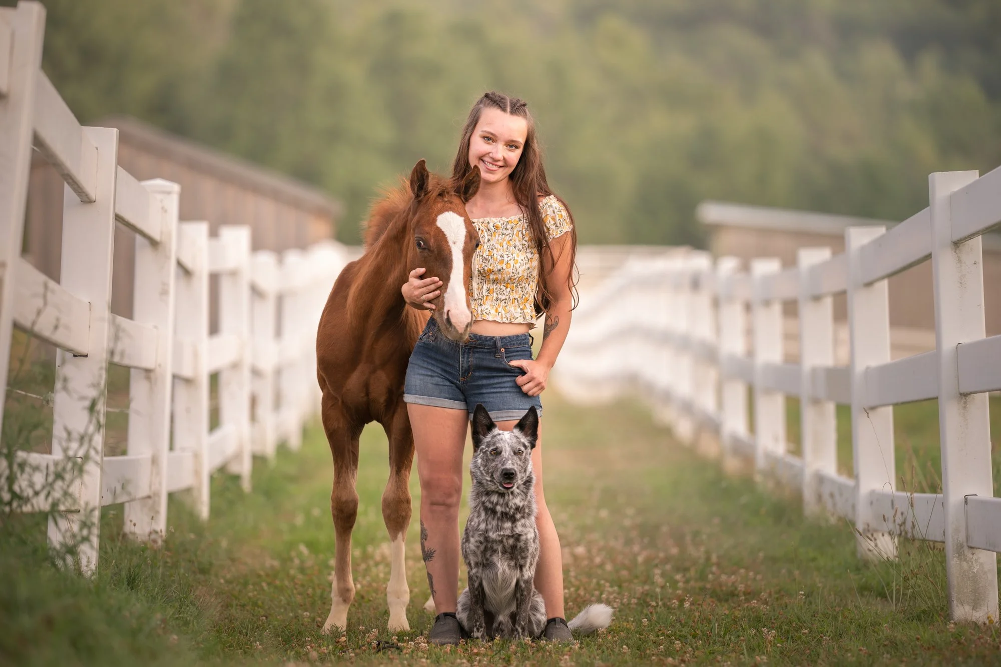brunswick-maine-pet-photographer.jpg