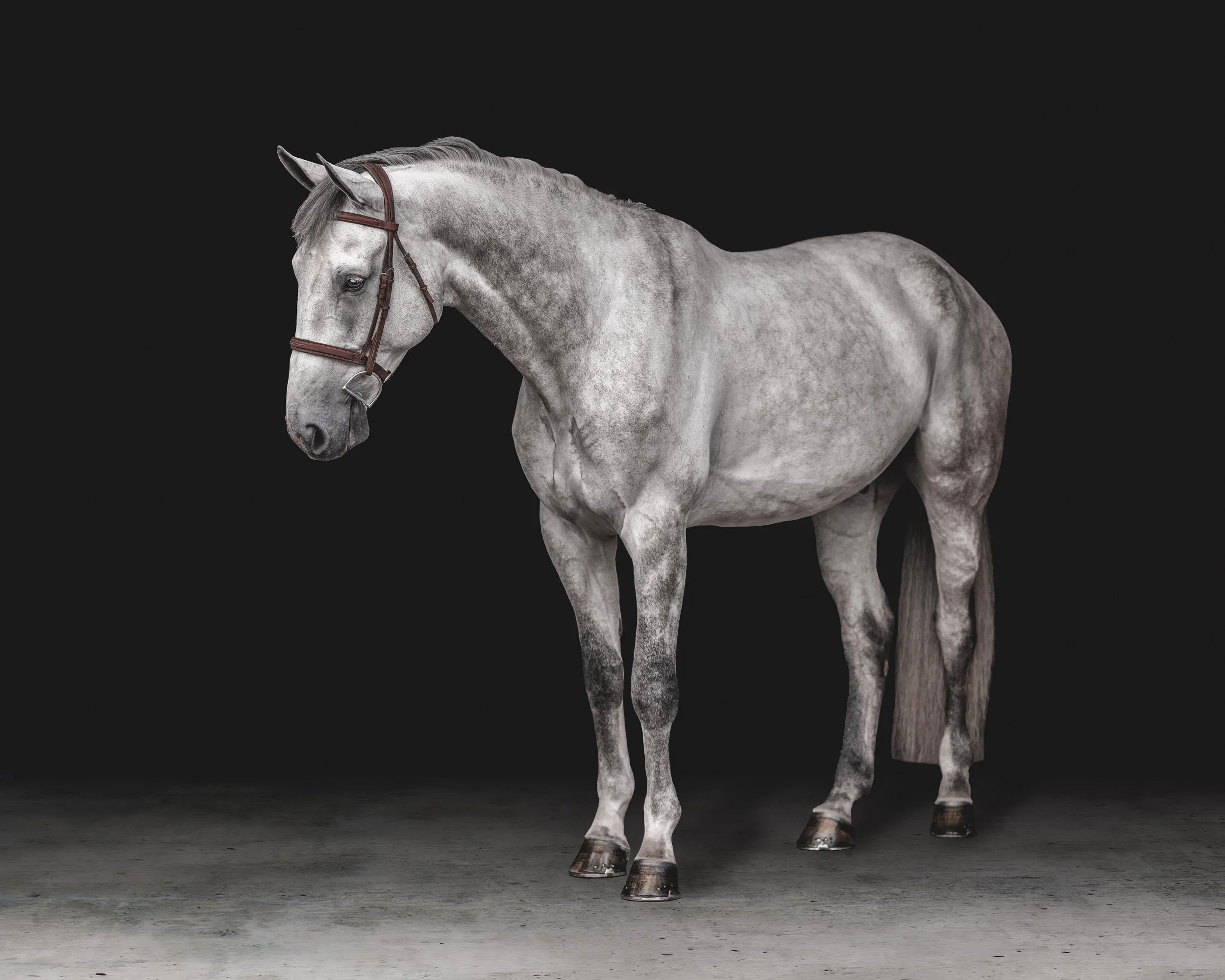 DSC01182-Edit-Edit 2.jpg