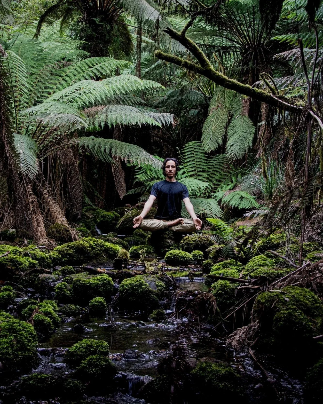 A man sitting cross-legged in a yoga pose, meditating in a lush, green forest with ferns and moss-covered rocks surrounding a small stream.