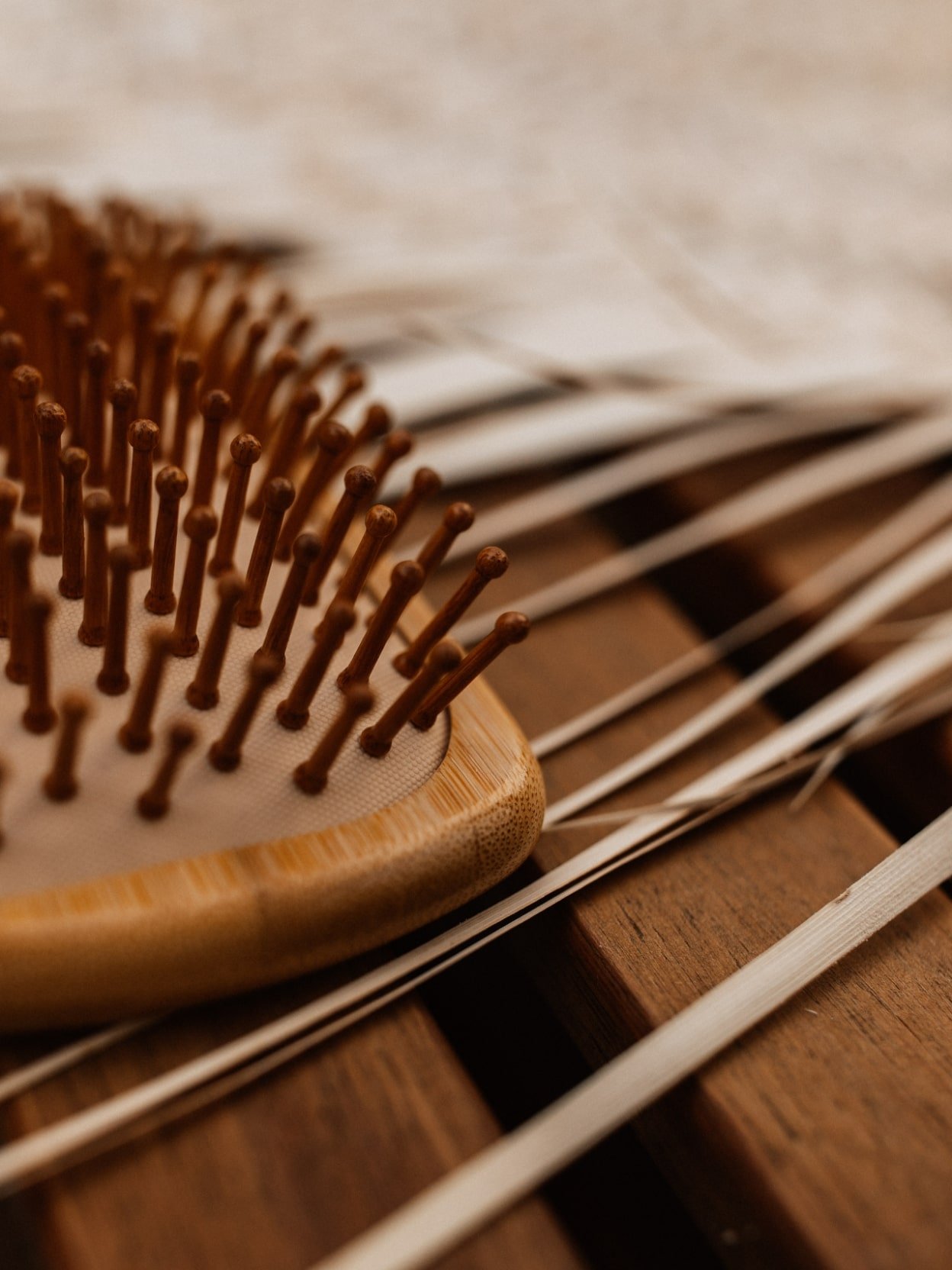 brosse-bambou-02.jpeg
