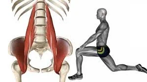 Why Tight Hip Flexors Matter &amp; How To Fix Them