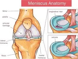 Knee Pain in Fielders: Common Causes &amp; Solutions