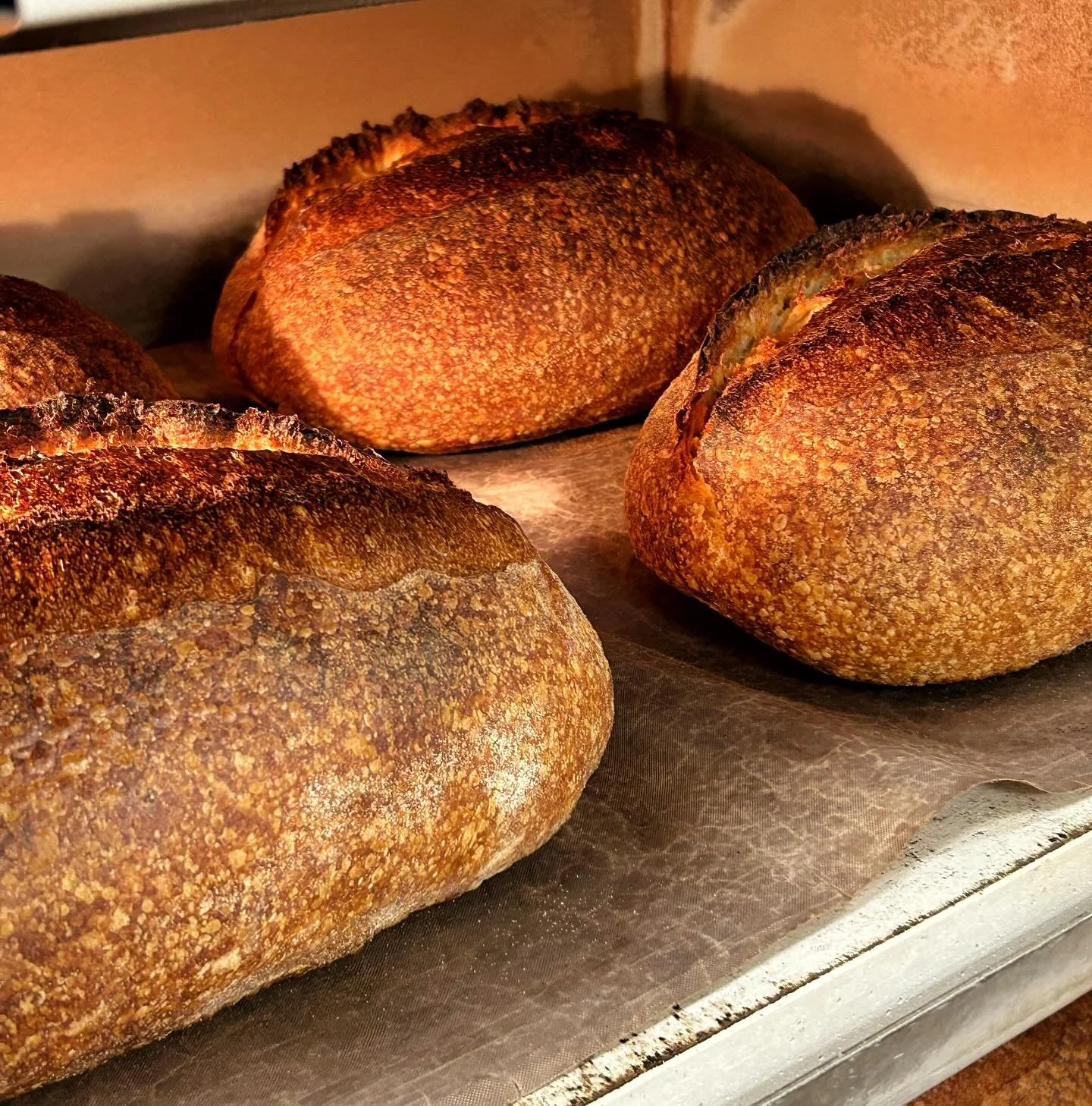 ONE MORE DAY LEFT TO GRAB SOME BREAD BEFORE LUCIA AND I JOG ON FOR A WEEK 

OVENS AND MIXERS WILL BE OFF UNTIL WEDNESDAY 24TH SEPTEMBER WHILST WE DITCH SHAPING BAPS IN THE BAKERY TO TANNING OUR BAPS ON A BEACH

WE WILL COME BACK I PROMISE

NEXT WEEK 