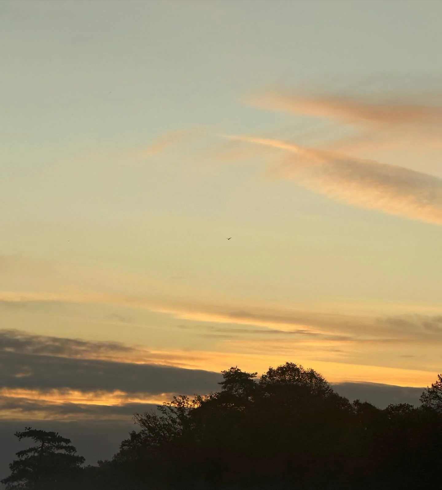 FUCKING HELL TODAY WAS WILD.

THE SHOP&rsquo;S ALMOST BEEN OPEN 3 YEARS AND IT&rsquo;S NEVER FELT AS BUSY AS IT DID TODAY. THE QUEUE WAS RELENTLESS, TAB GRABBERS FULL WITH TICKETS AND THE KITCHEN PRINTER JUST KEPT GOING.

RATHER THAN CELEBRATE A BUSY