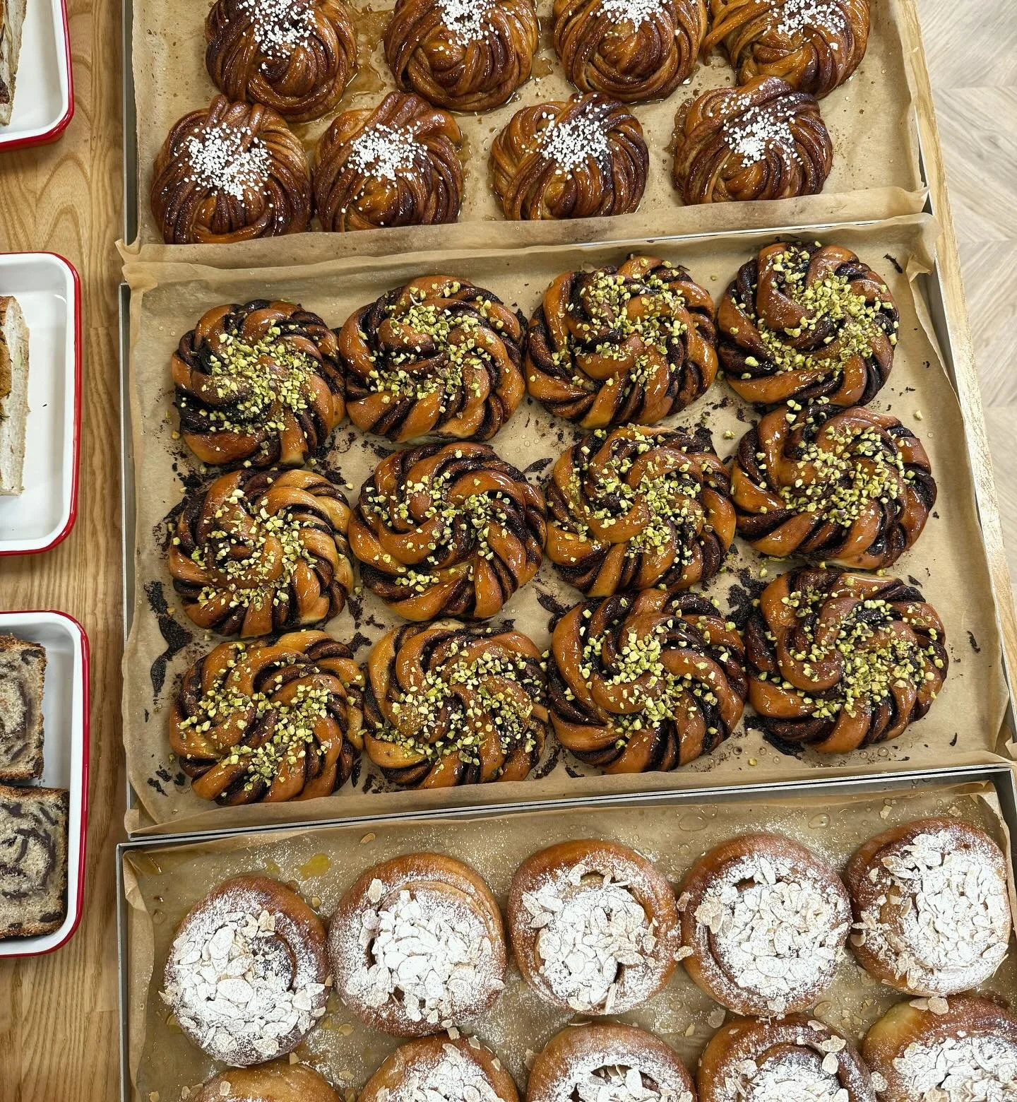 WE NEED TO POST ABOUT OUR BUNS BUT BEFORE WE DO, WE WOULD LIKE TO SAY A HUGE THANKS FOR ALL YOUR SUPPORT ON OUR LAST POST. SUNDAY WAS A TOUGH DAY, BUT WAKING UP ON MONDAY TO SEE THE RESPONSES WAS ALMOST TOUCHING. THE COMMENTS SECTION WAS EQUAL PARTS 