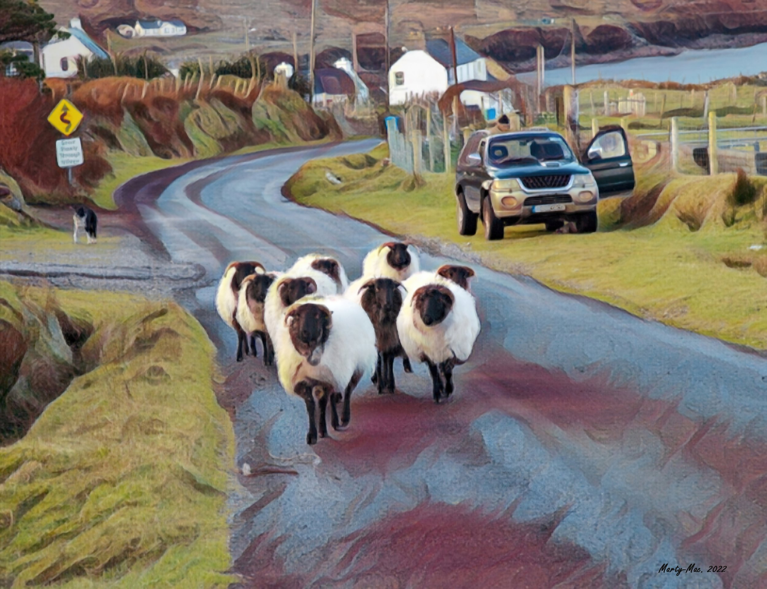 MMD_5674 sheep 3-gigapixel-standard-scale-2_00x.jpg