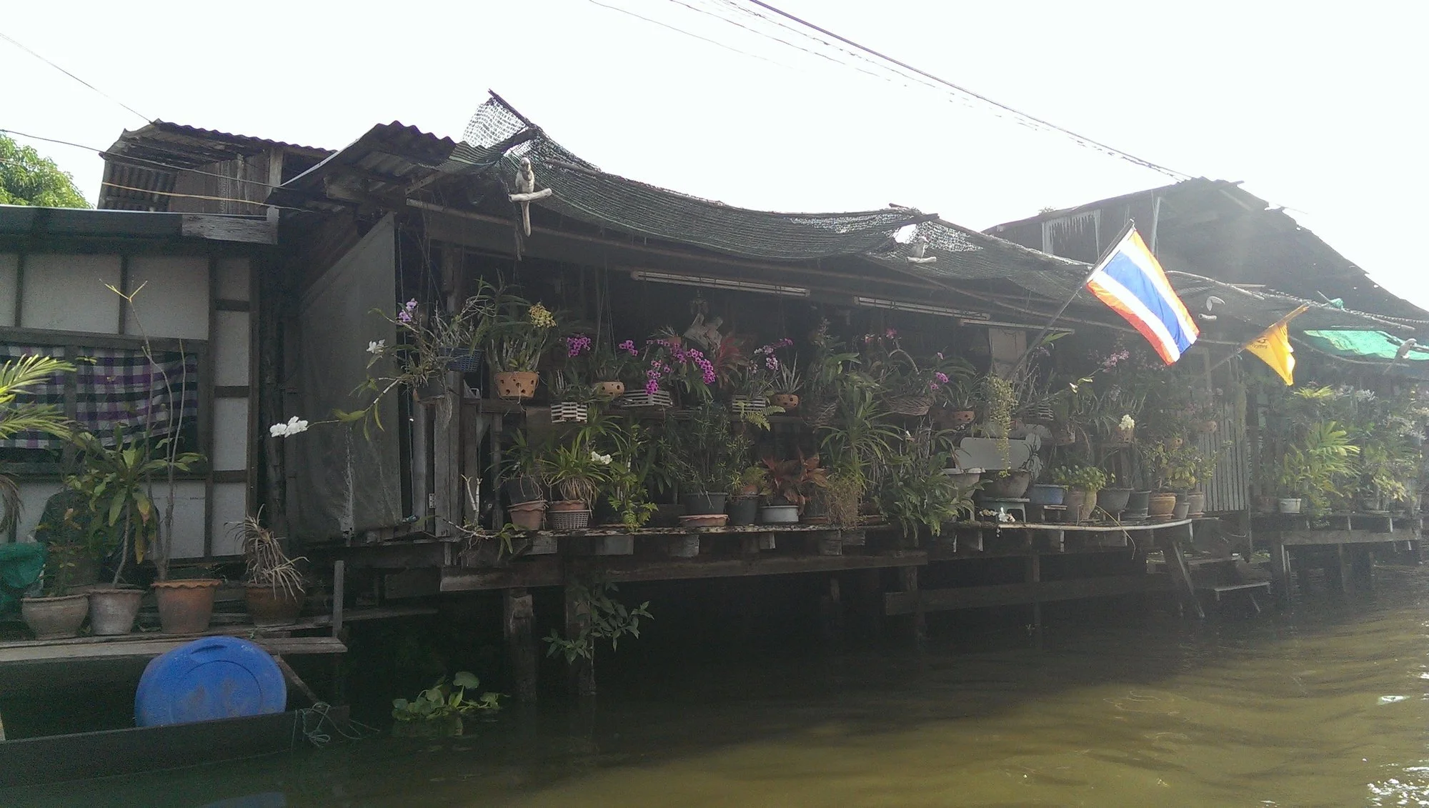 371 · Orchid-covered house on the canal, Bangkok, Thailand