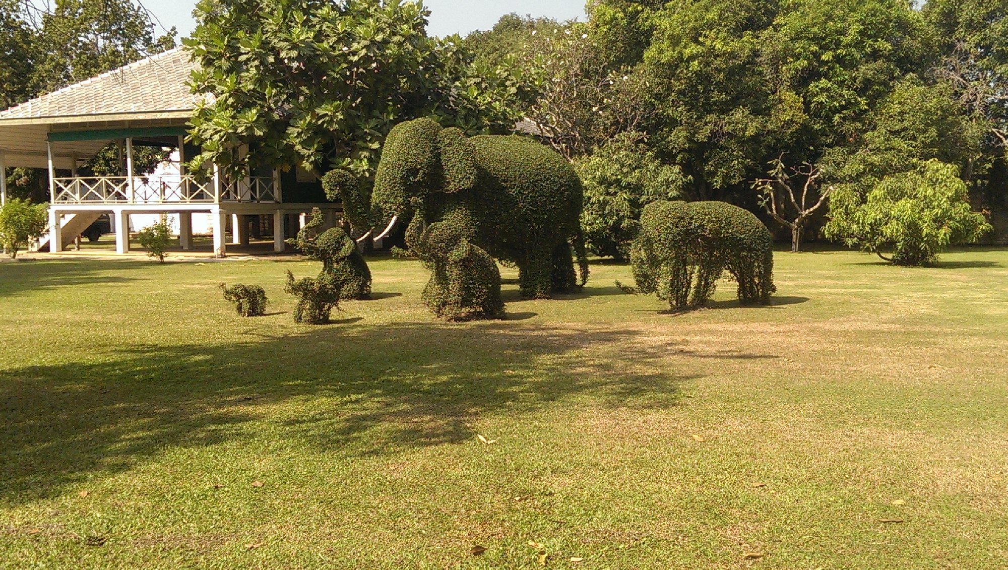 399 · Topiary elephants in the palace gardens, Thailand