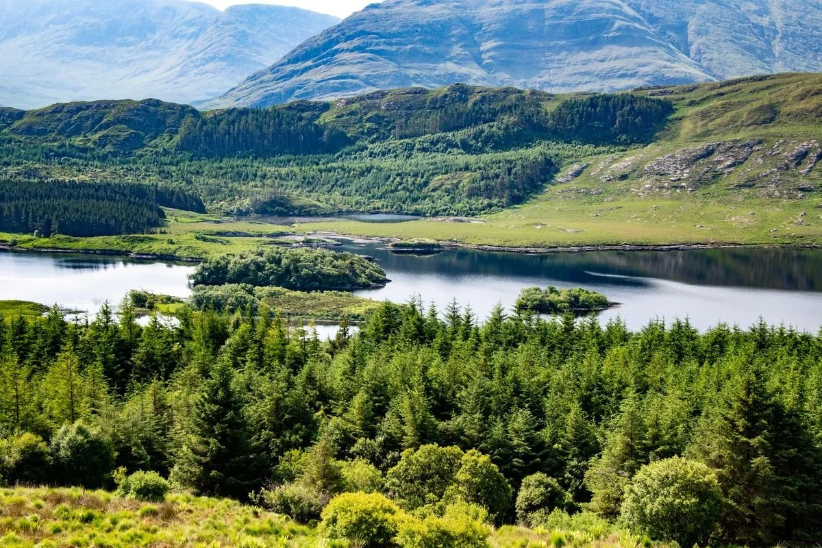 MAC_0575 · Lake and forest, Sheeffry Pass, Co. Mayo