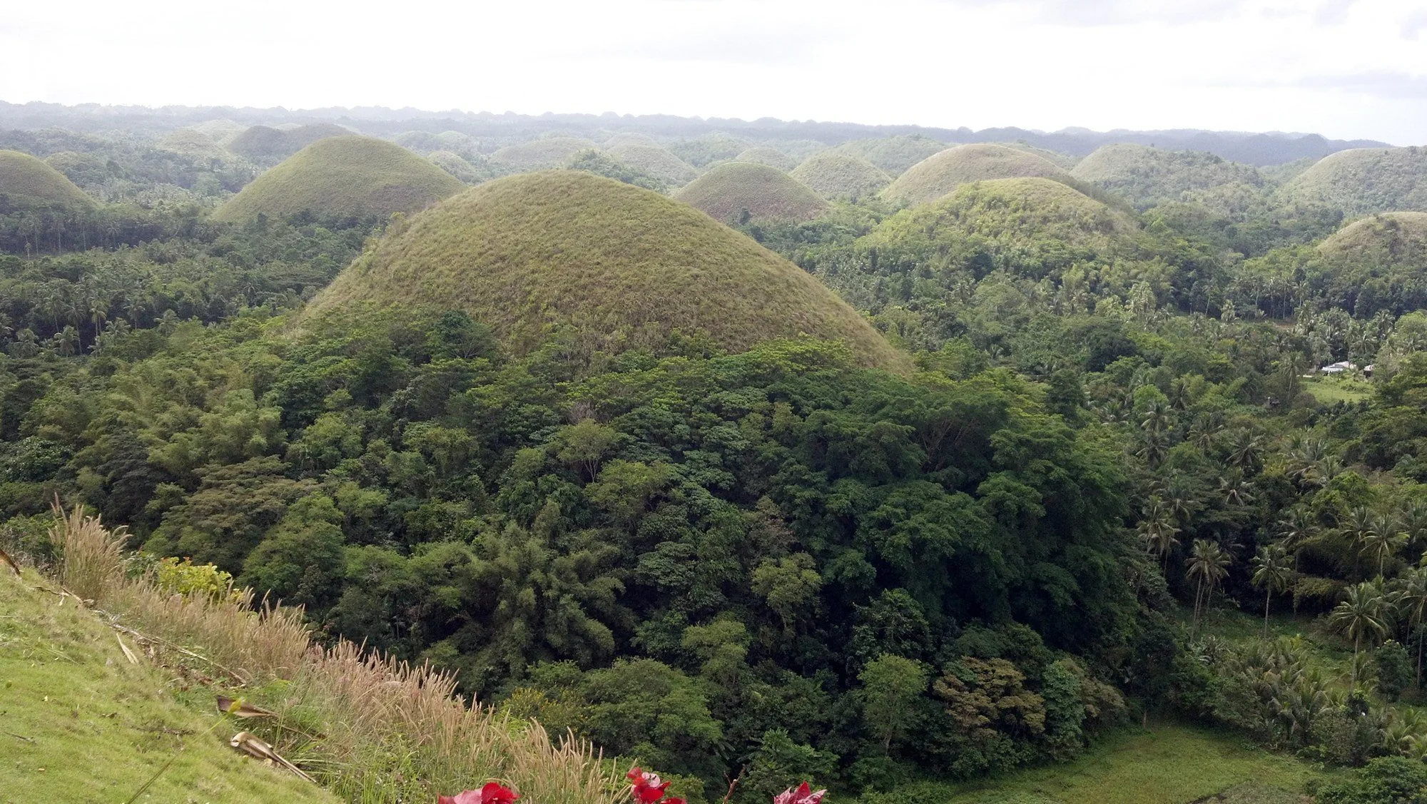 2011-11-23_10-35-44_257 · Chocolate Hills, Bohol, Philippines