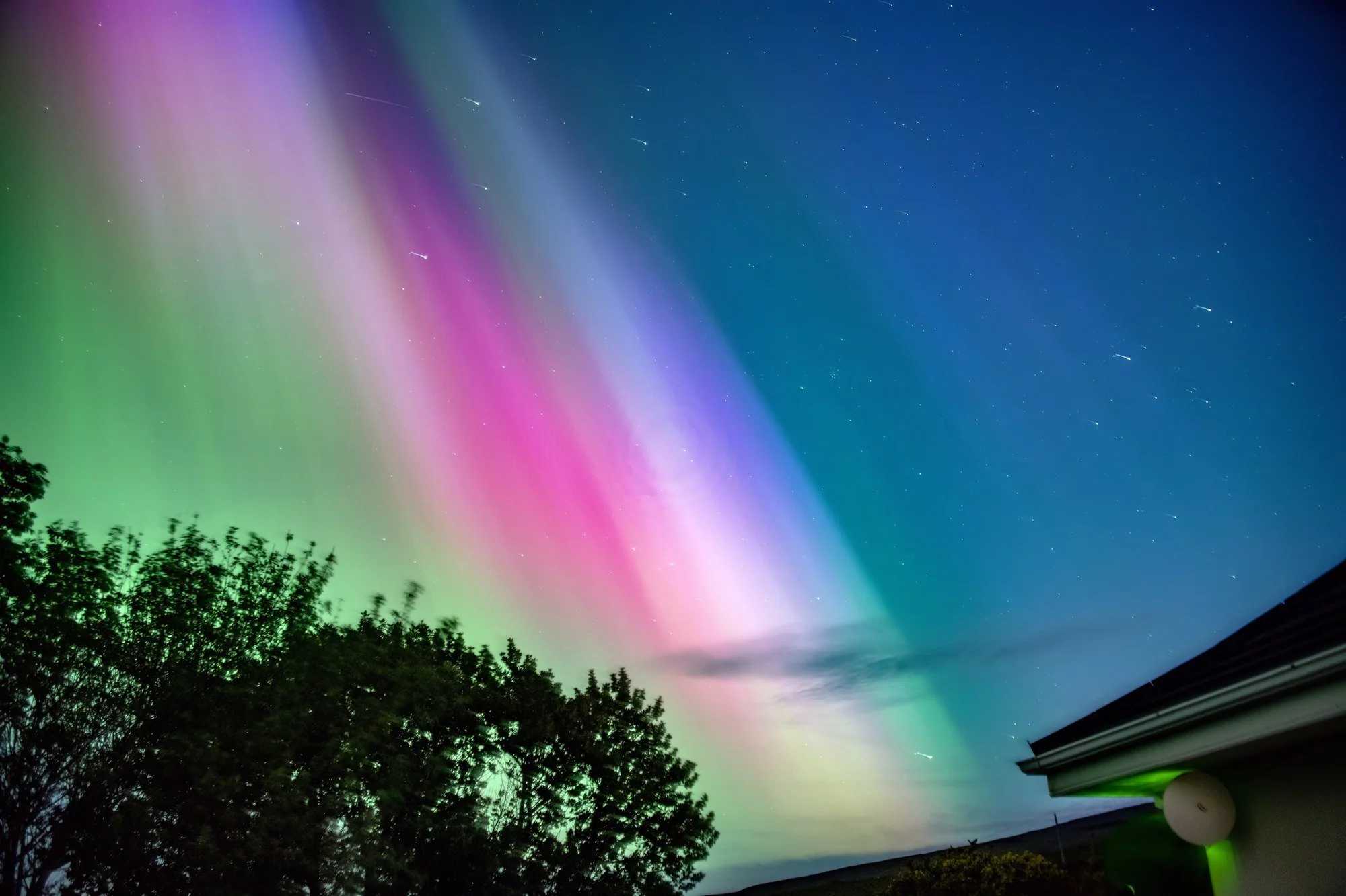MAC_1710 · Aurora above the trees, Co. Mayo, May 2024