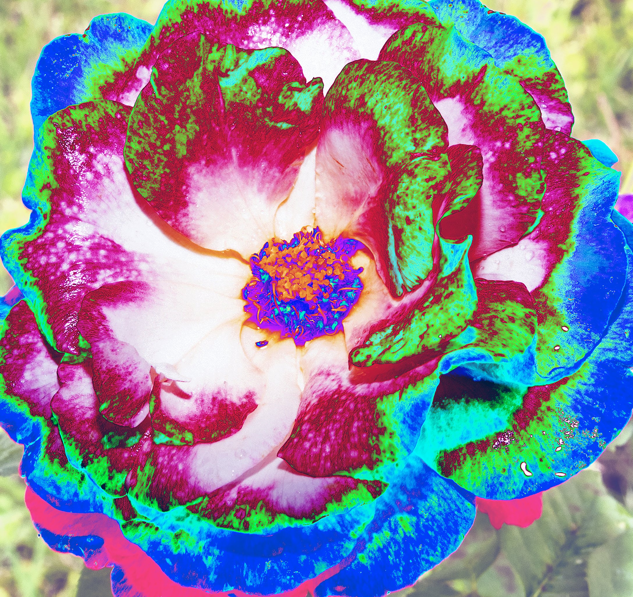 MMD_2632 abstract.jpg