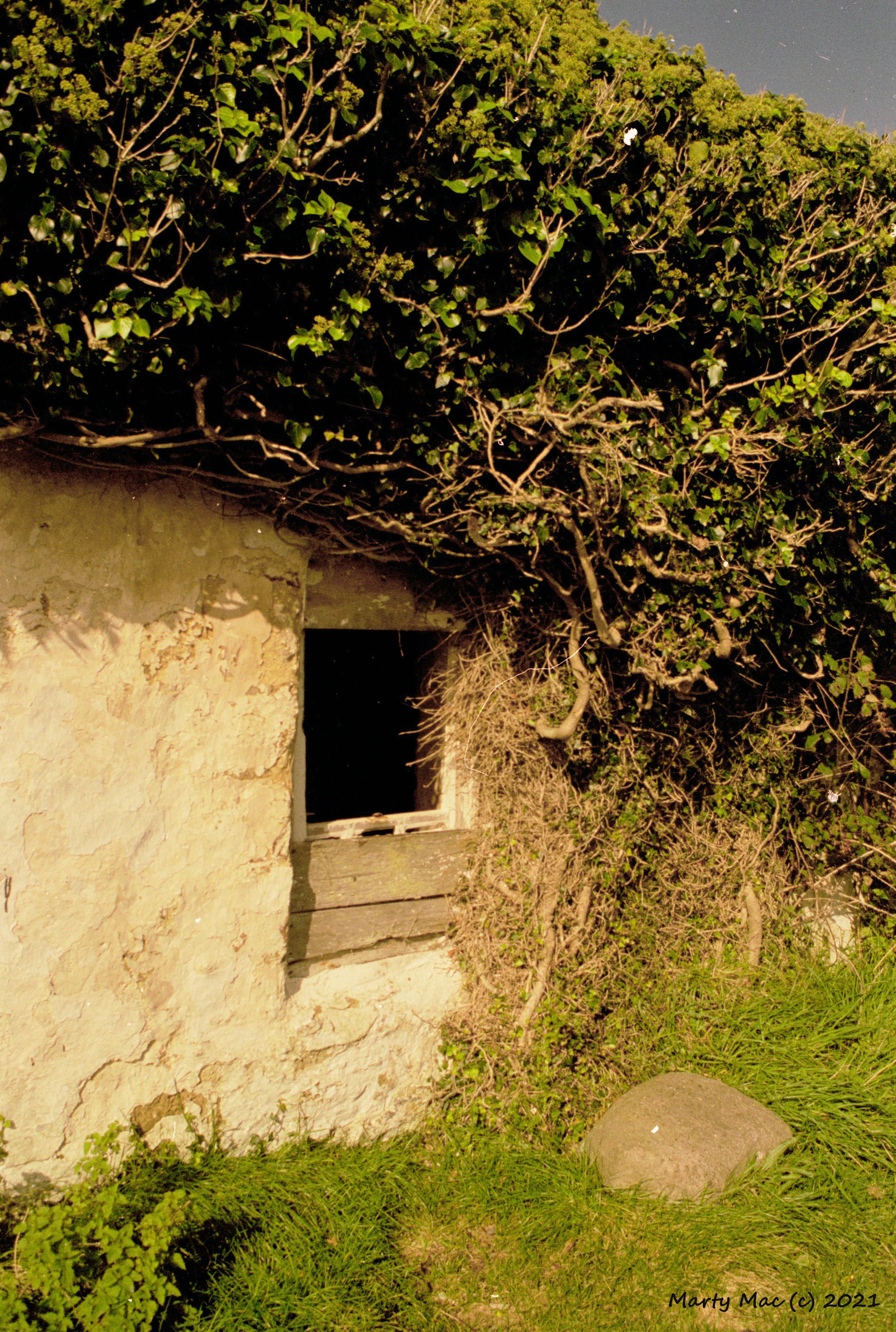 ANCIENT WINDOW.jpg