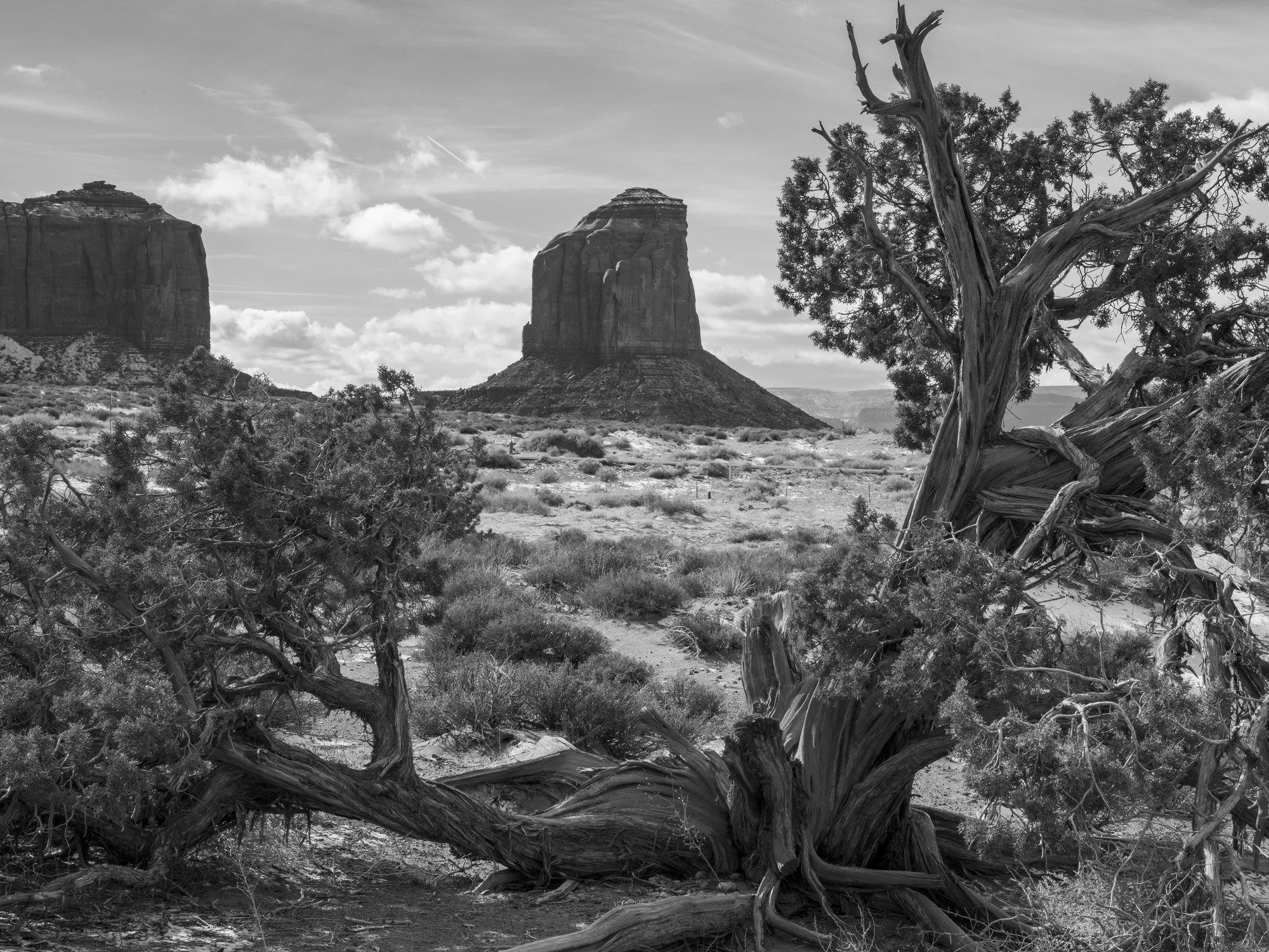 MMD_4624 · Monument Valley in black and white, Arizona