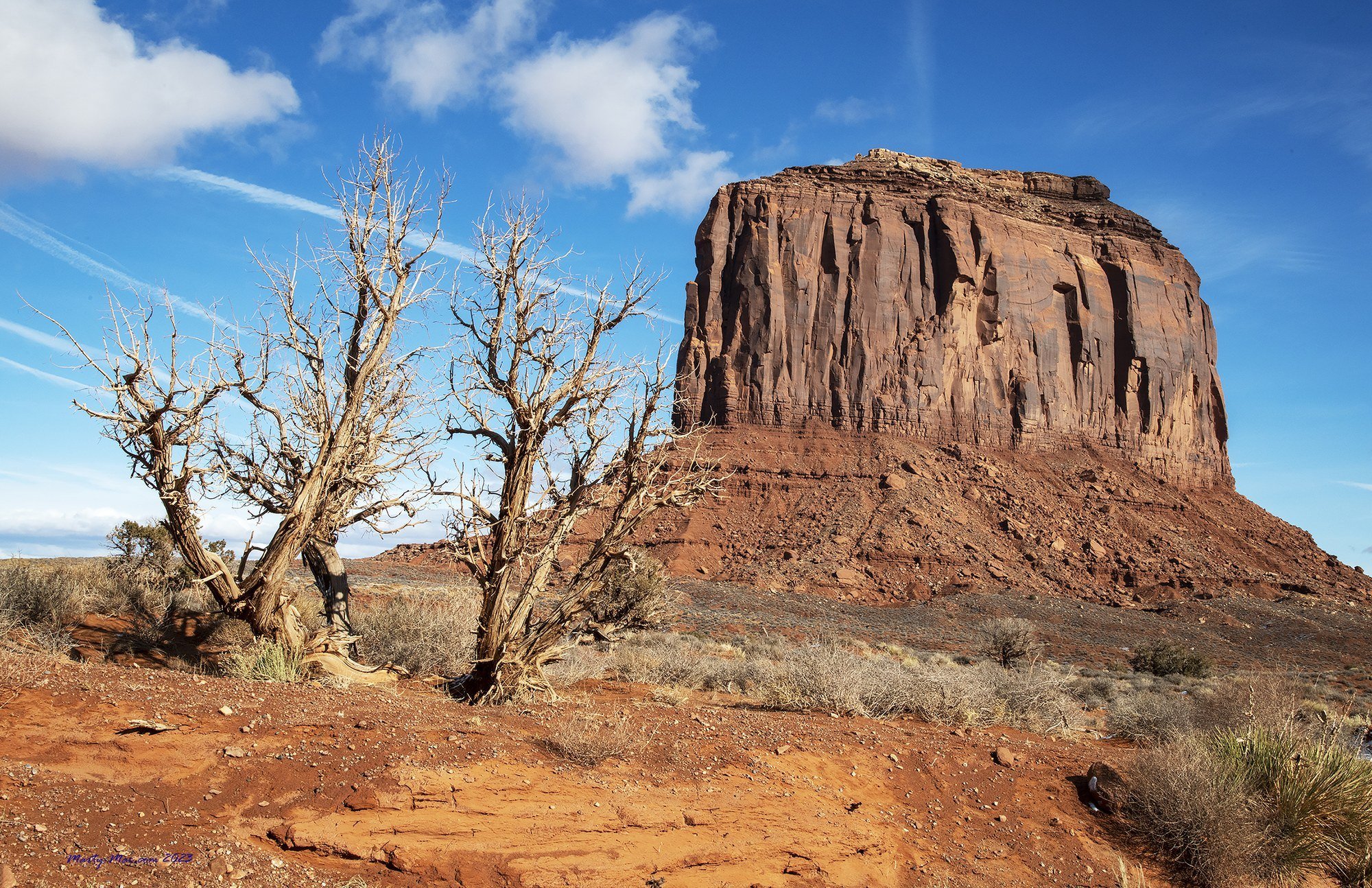 MMD_4645 · Butte and dead trees, Monument Valley, Arizona