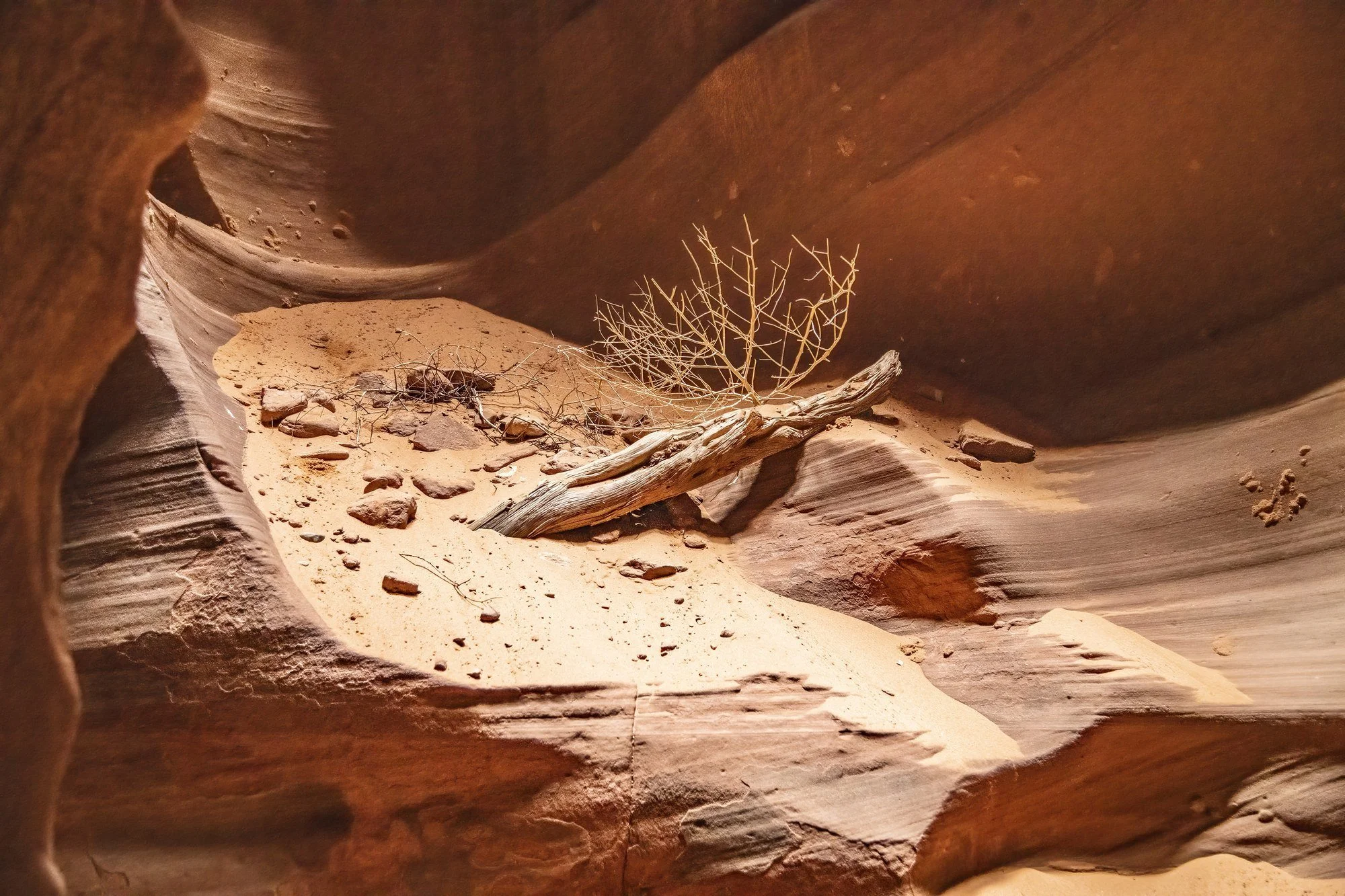 MMD_4431 · Driftwood in the canyon, Antelope Canyon, Arizona