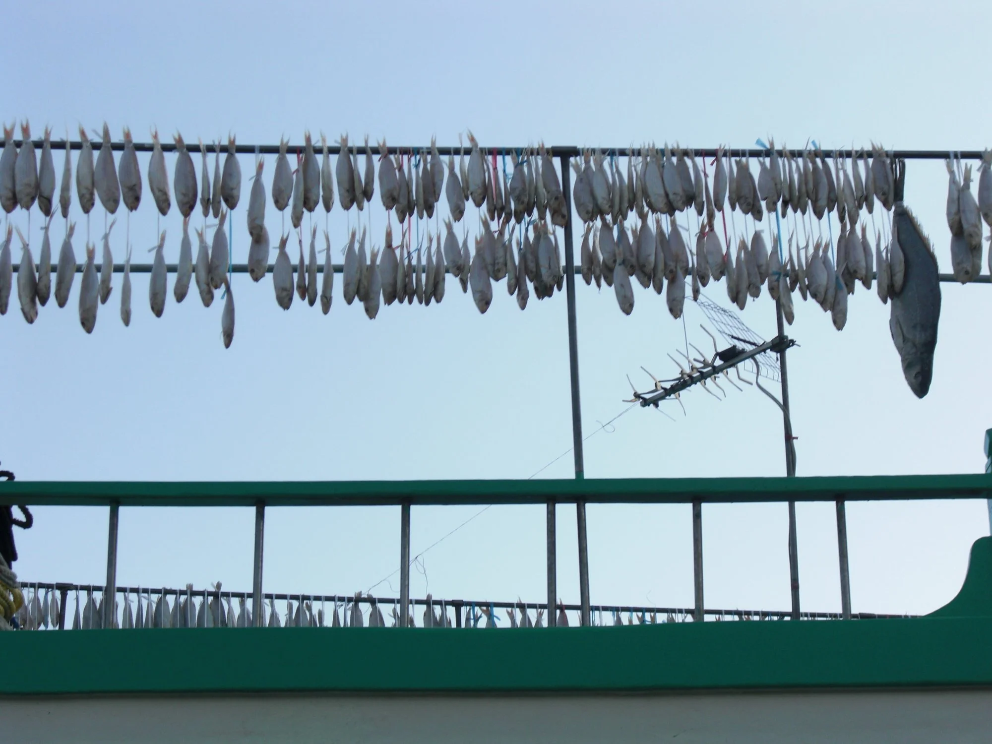 CIMG0391 · Fish drying on the rooftop, Hong Kong