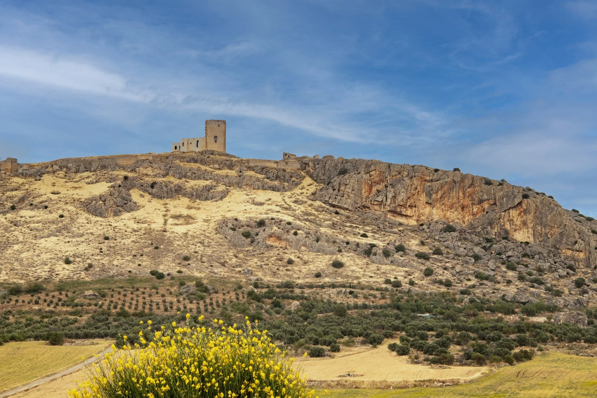 MAC_4350 · Hilltop castle above olive groves, Andalusia, Spain