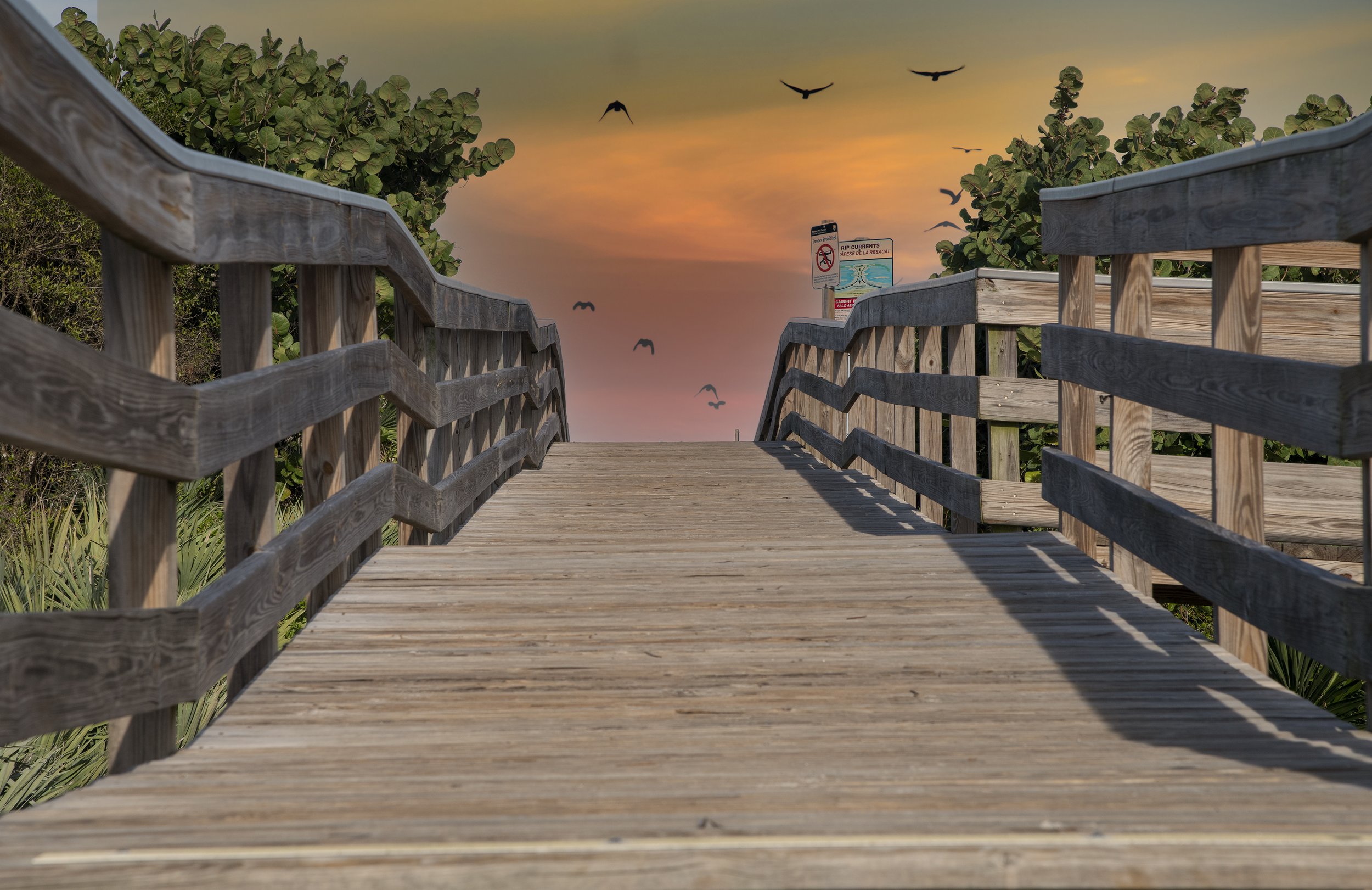 MMD_3184 copy.jpg