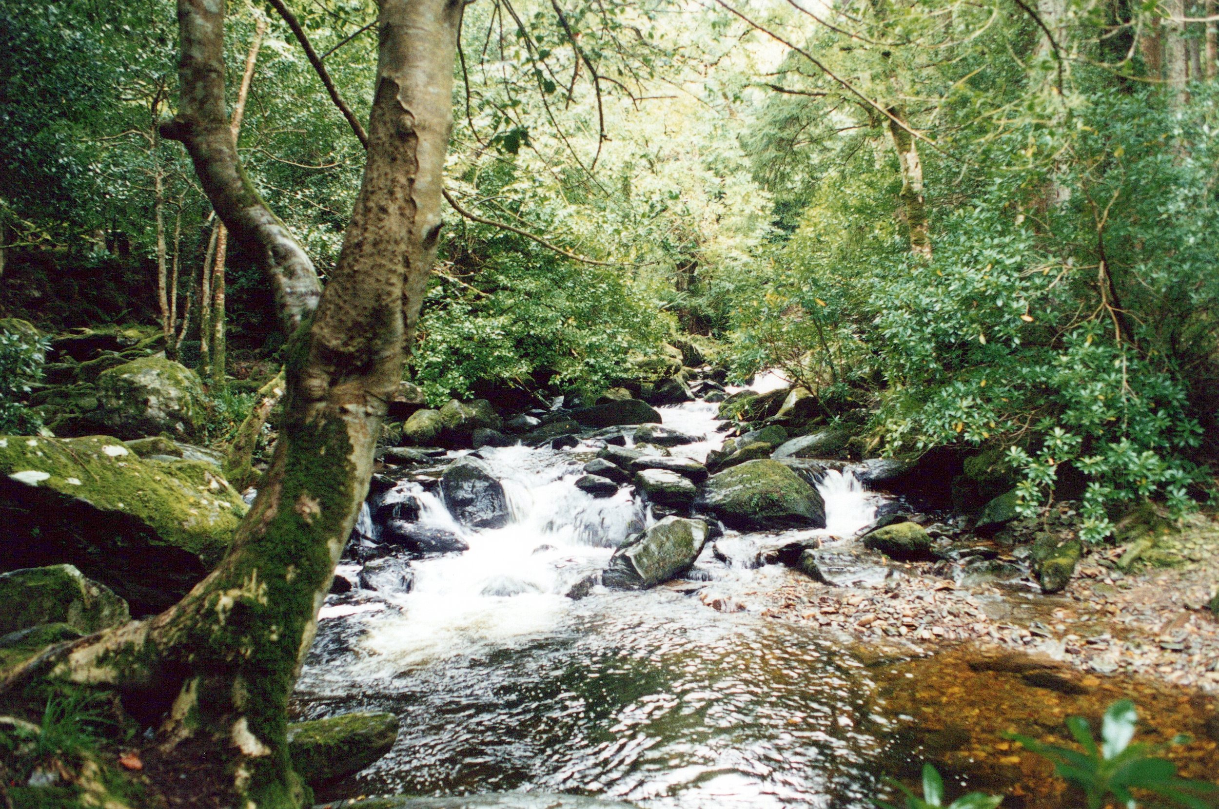 1990s_MIXED_UNSORTED_0025_a.jpg