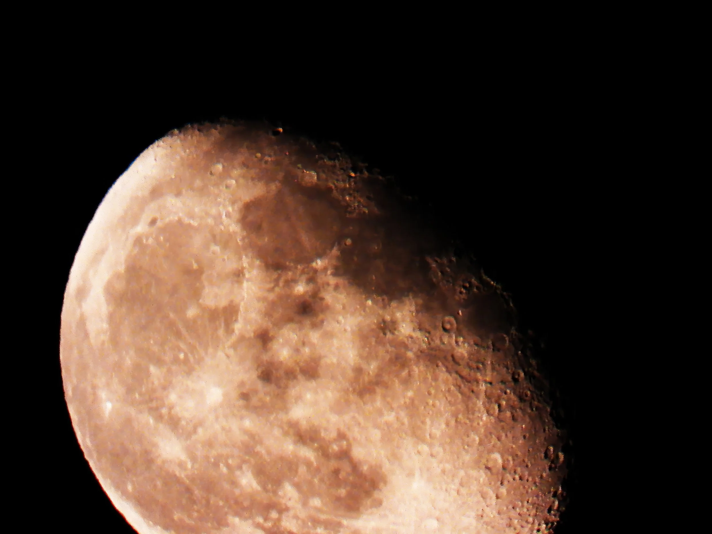 DSCN0164 moon brown 4.jpg