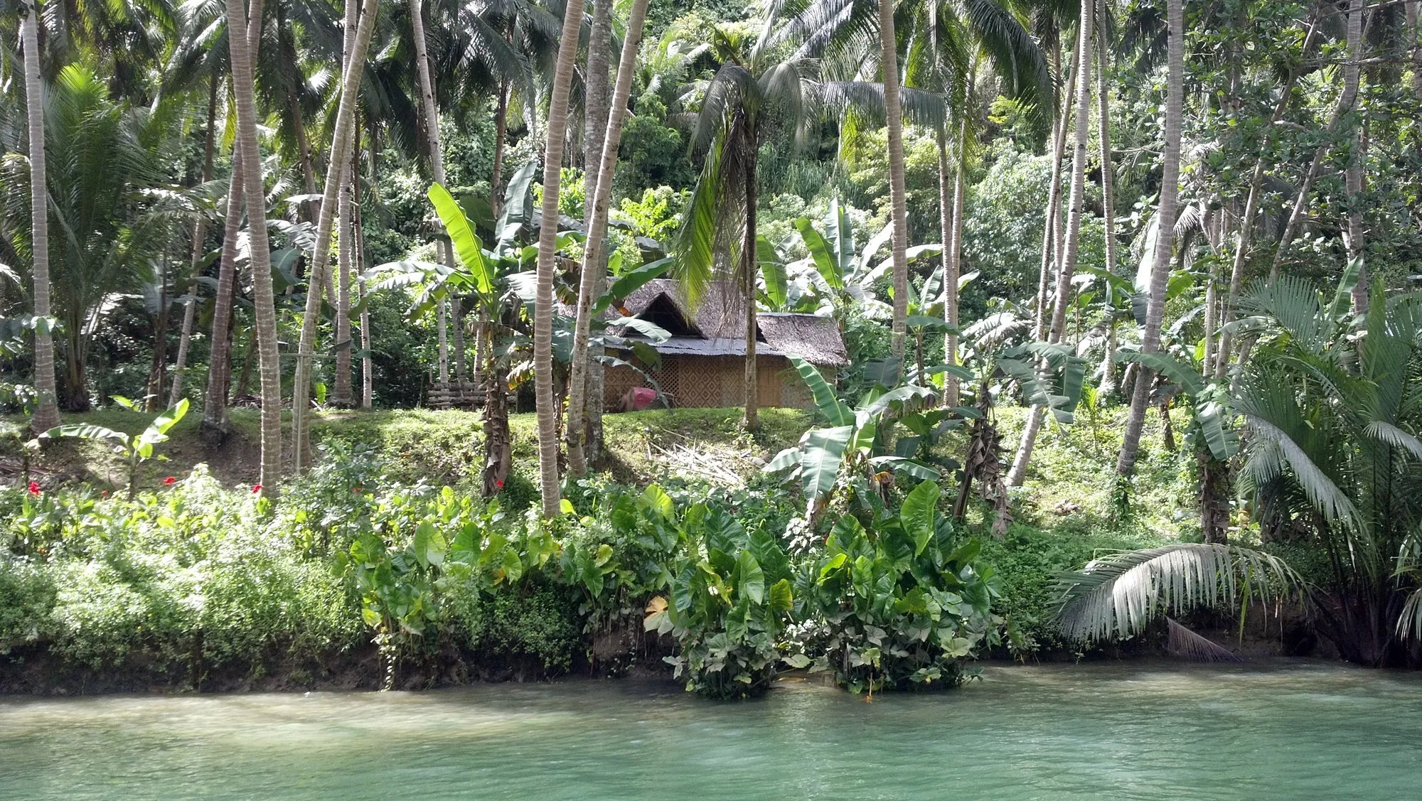 2011-11-23_12-57-27_712 · Nipa hut on the Loboc River, Bohol, Philippines