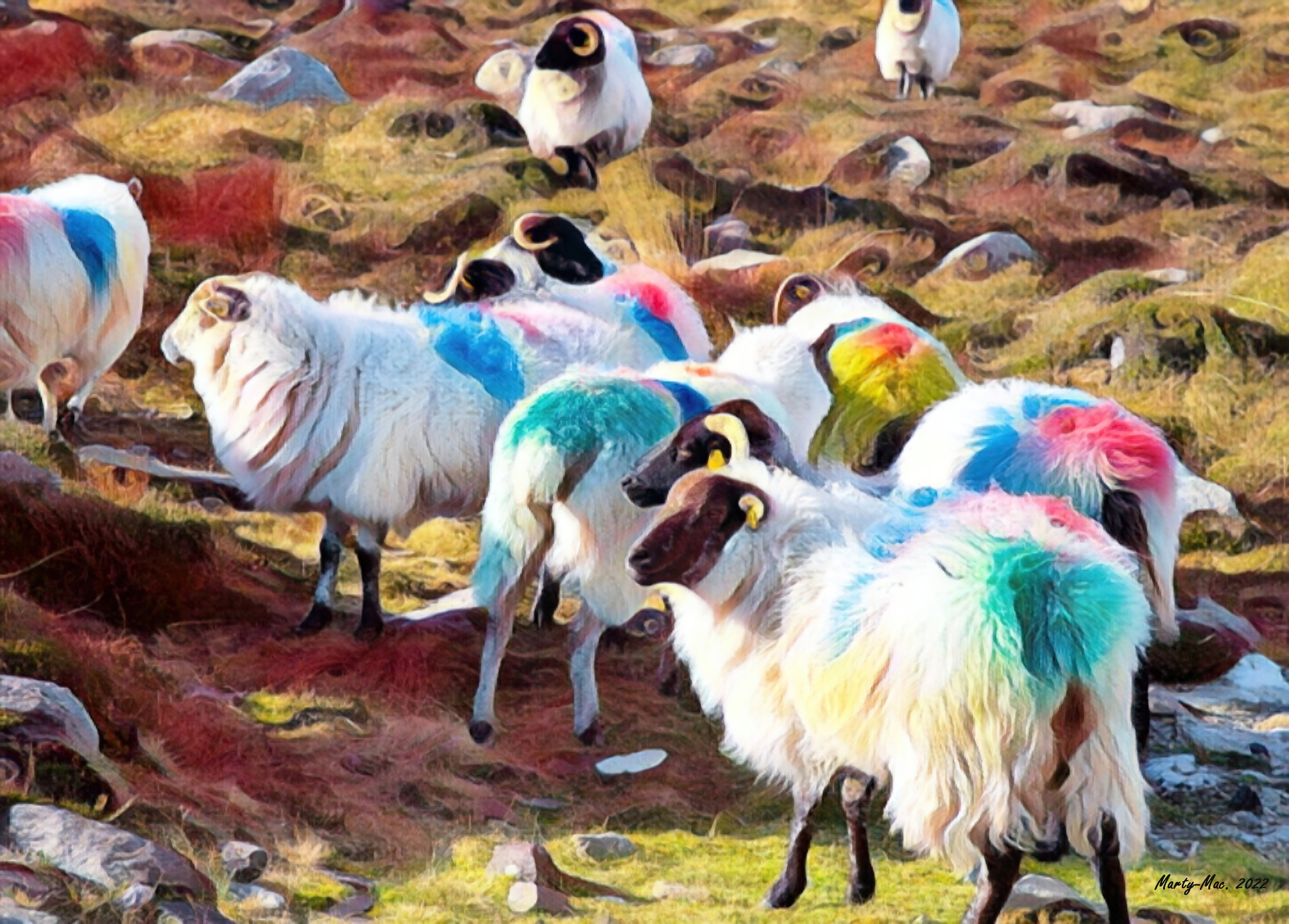 MMD_5967 sheep 12-gigapixel-standard-scale-2_00x.jpg