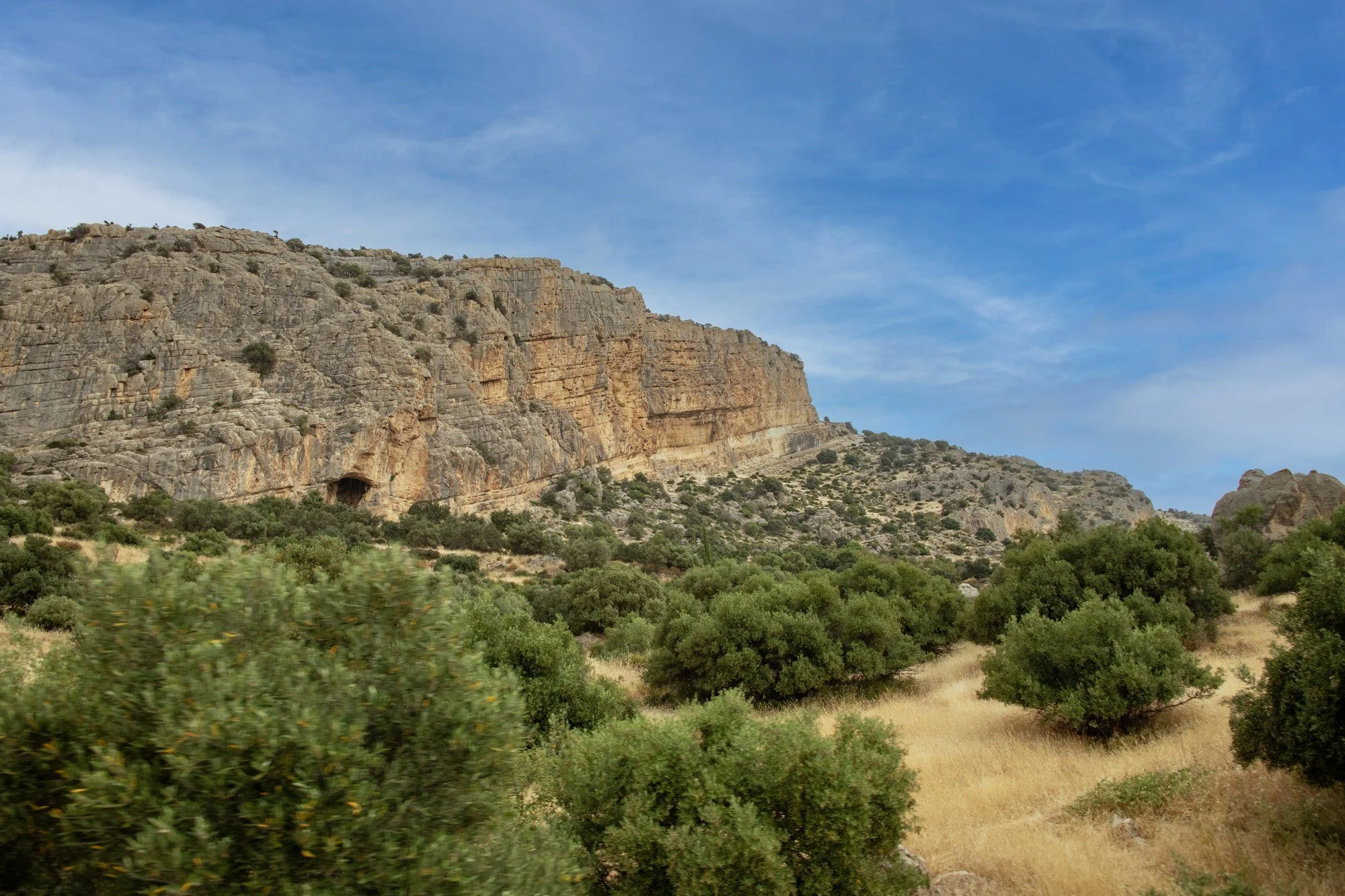 MAC_4348 · Limestone cliffs and olives, Andalusia, Spain