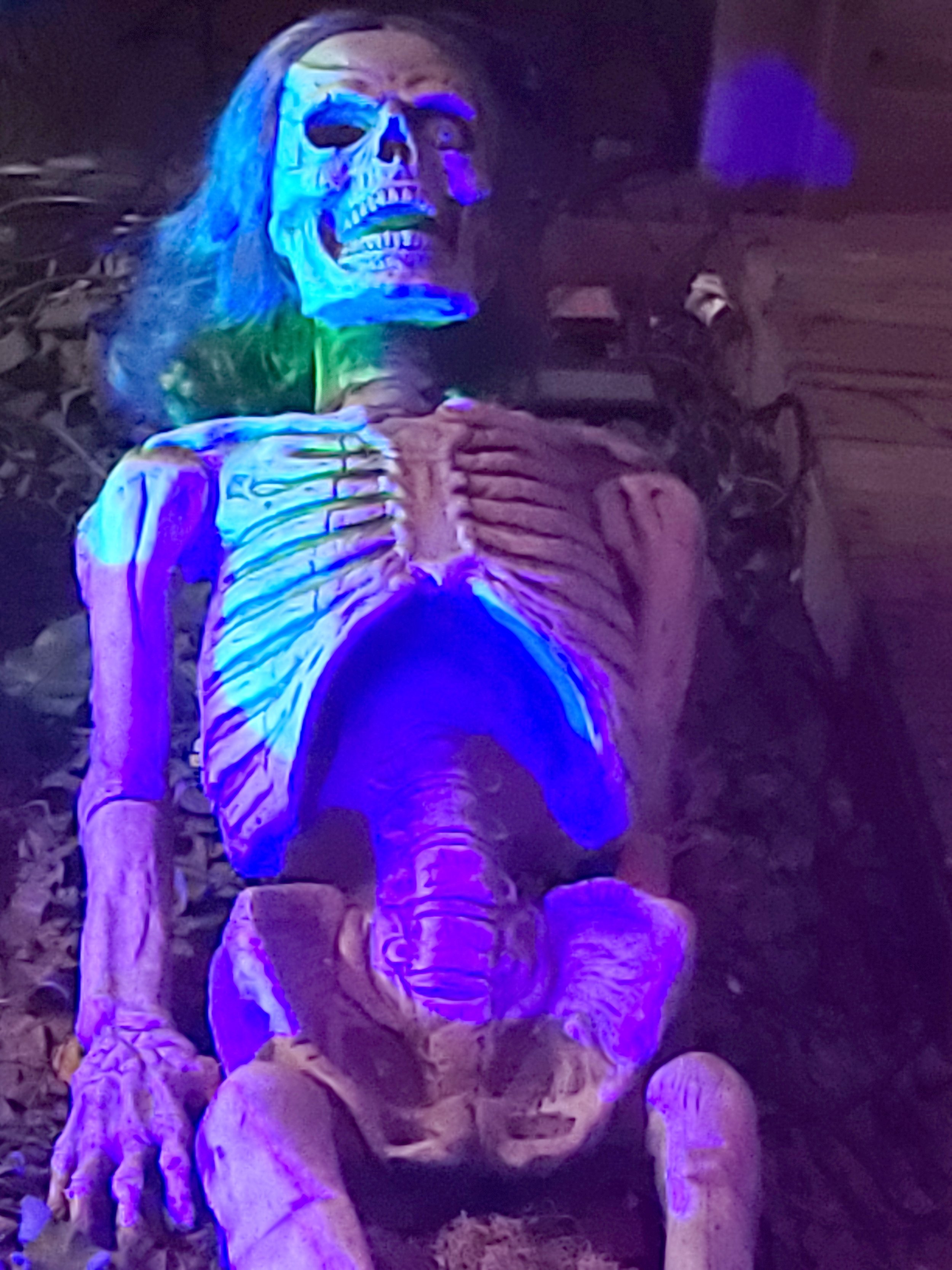 SKELETON 3.jpg