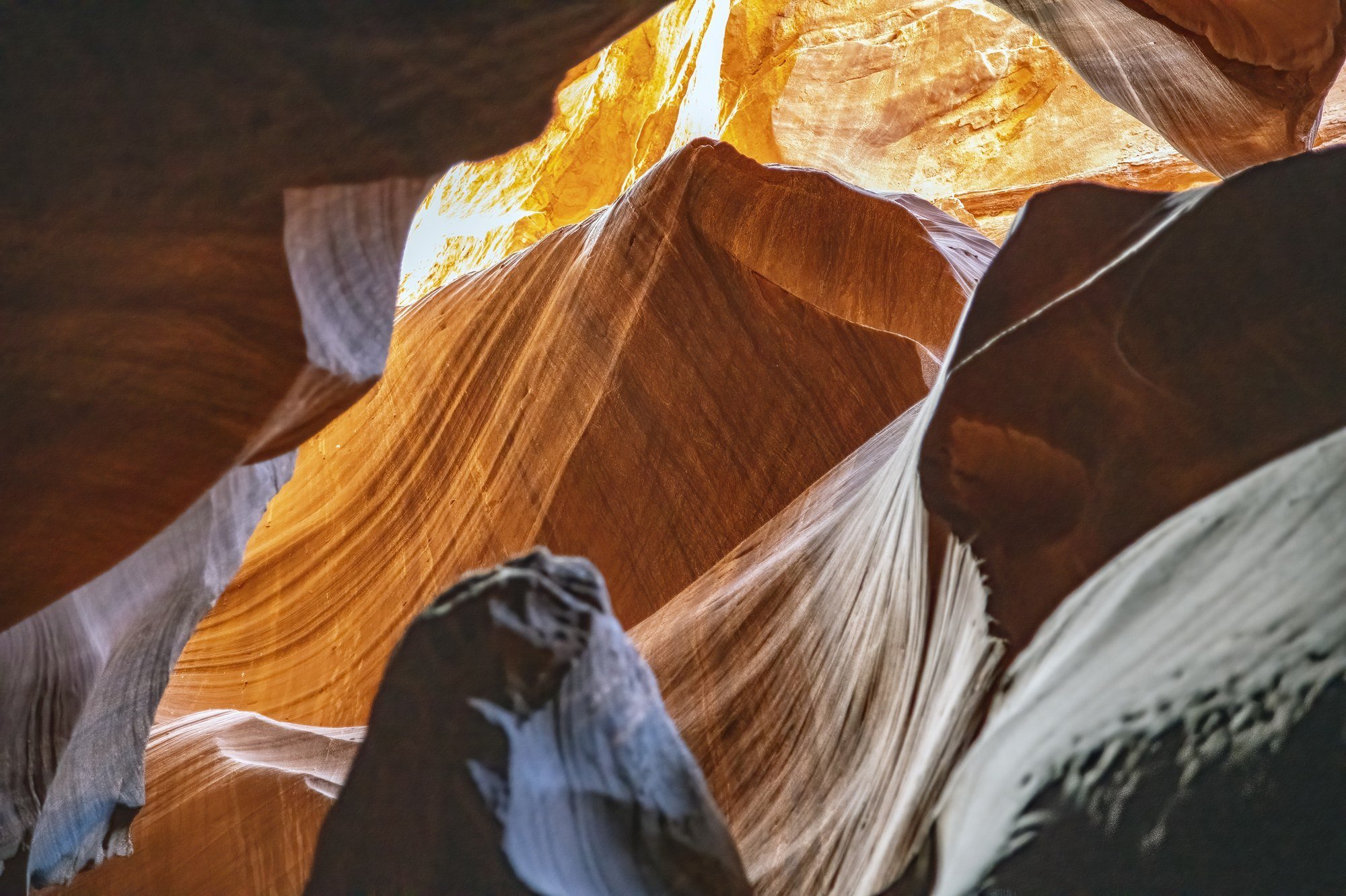 MMD_4412 · Golden ceiling, Antelope Canyon, Arizona