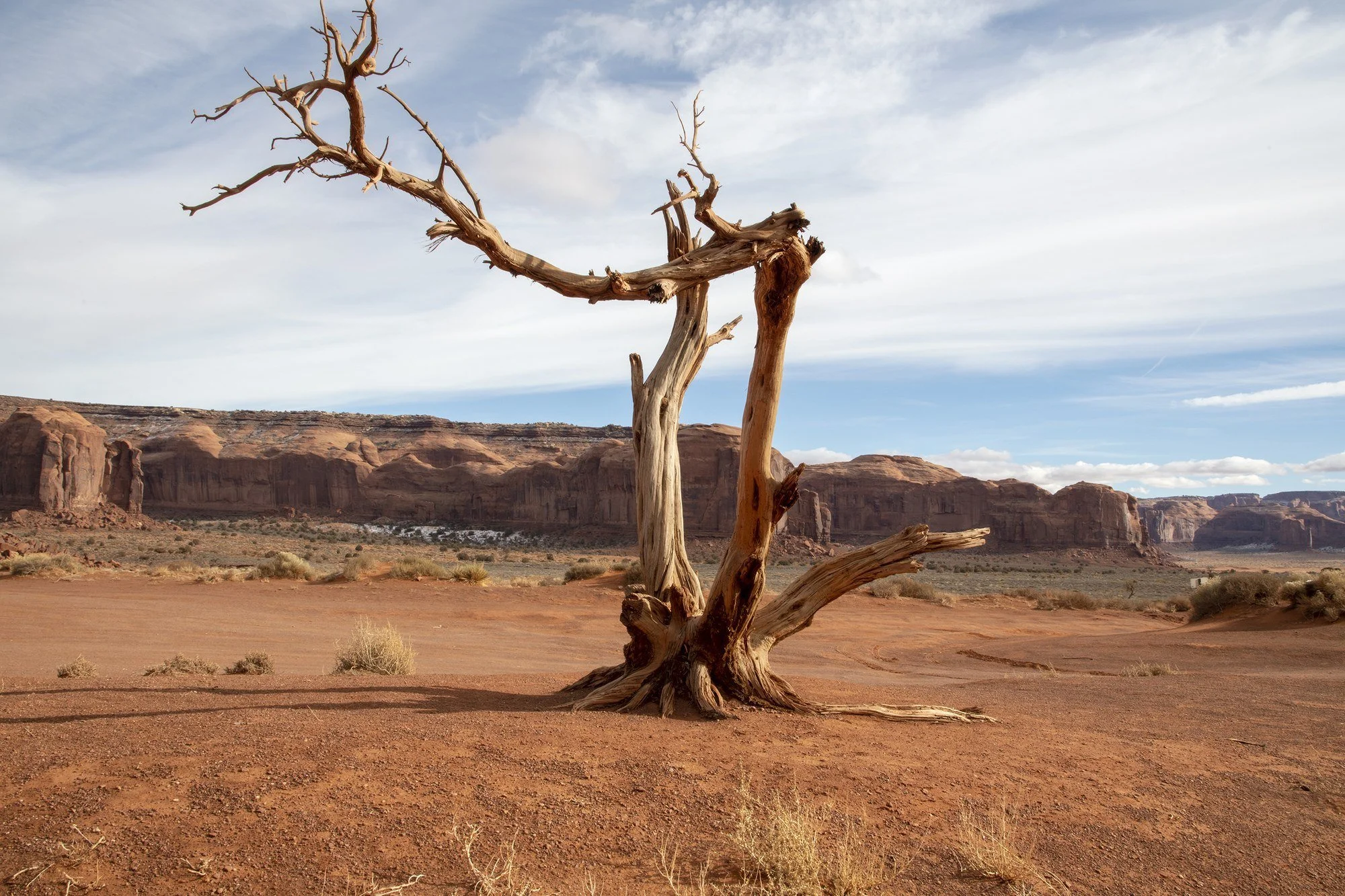 MMD_4706 · Lone tree, Monument Valley, Arizona