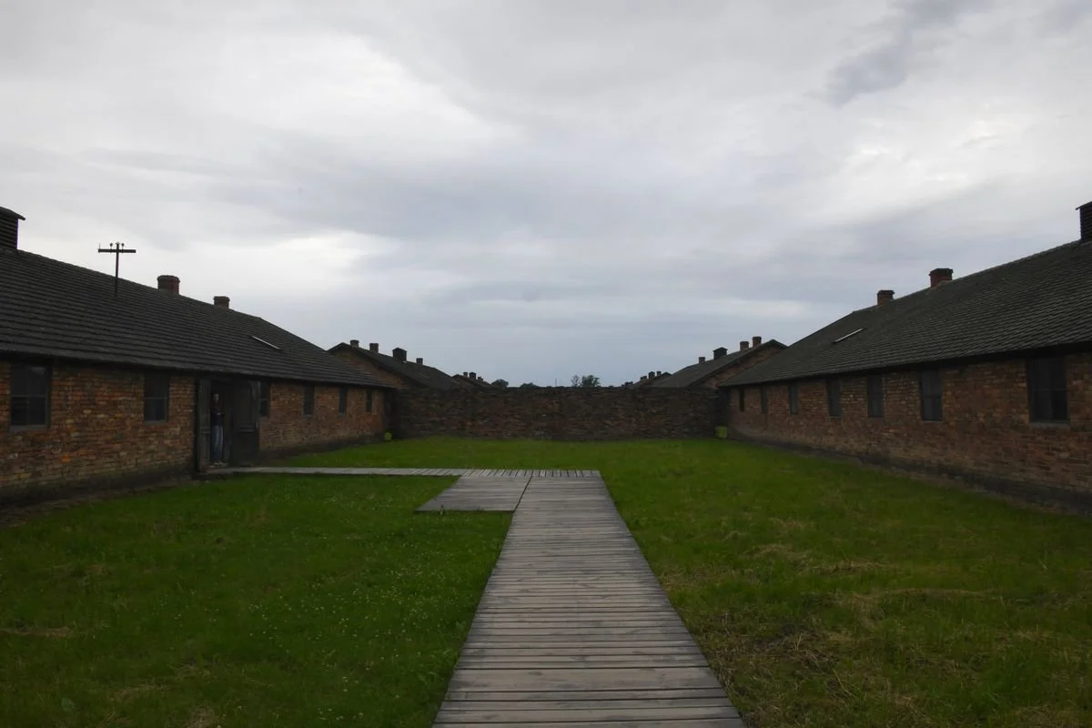 MAC_5591 · Rows of barracks under grey sky, Auschwitz-Birkenau, Poland