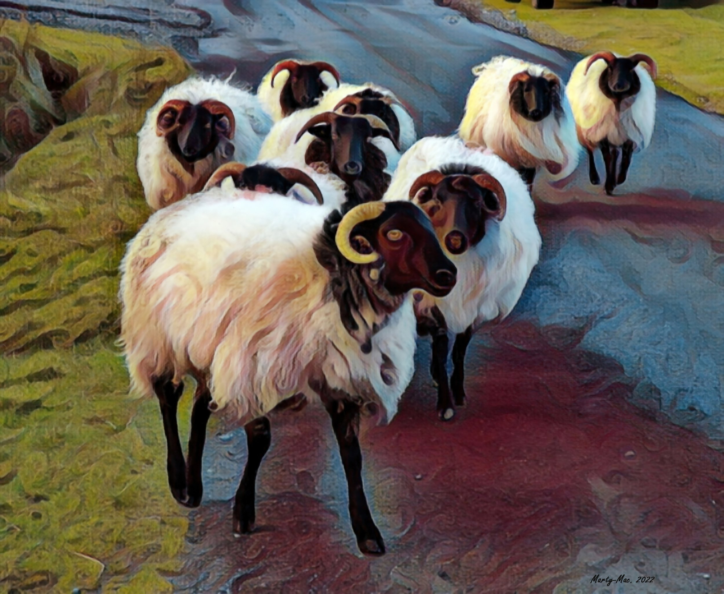 MMD_5676 sheep 1-gigapixel-standard-scale-2_00x.jpg