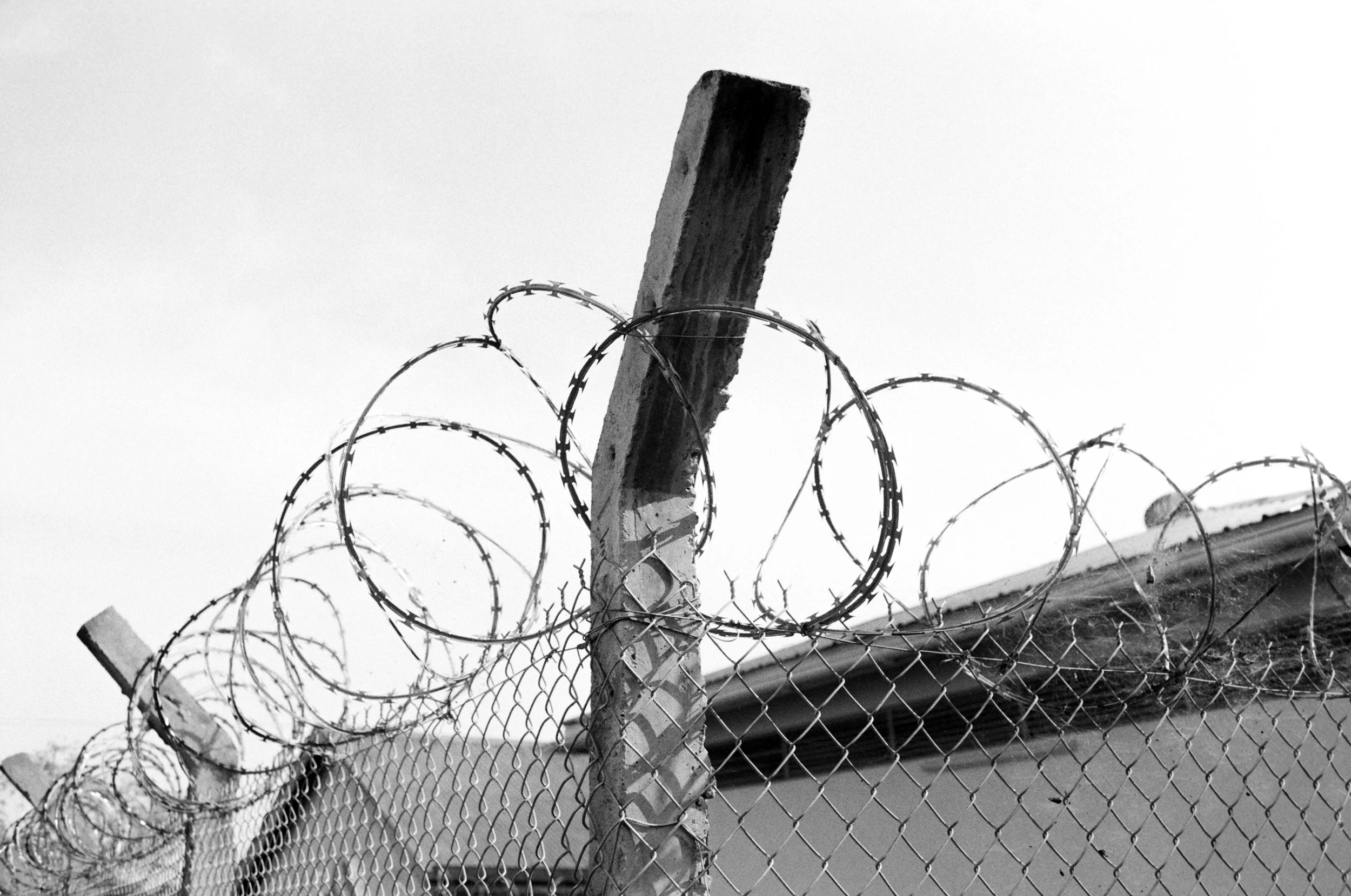 I wish I knew how it would feel to be free