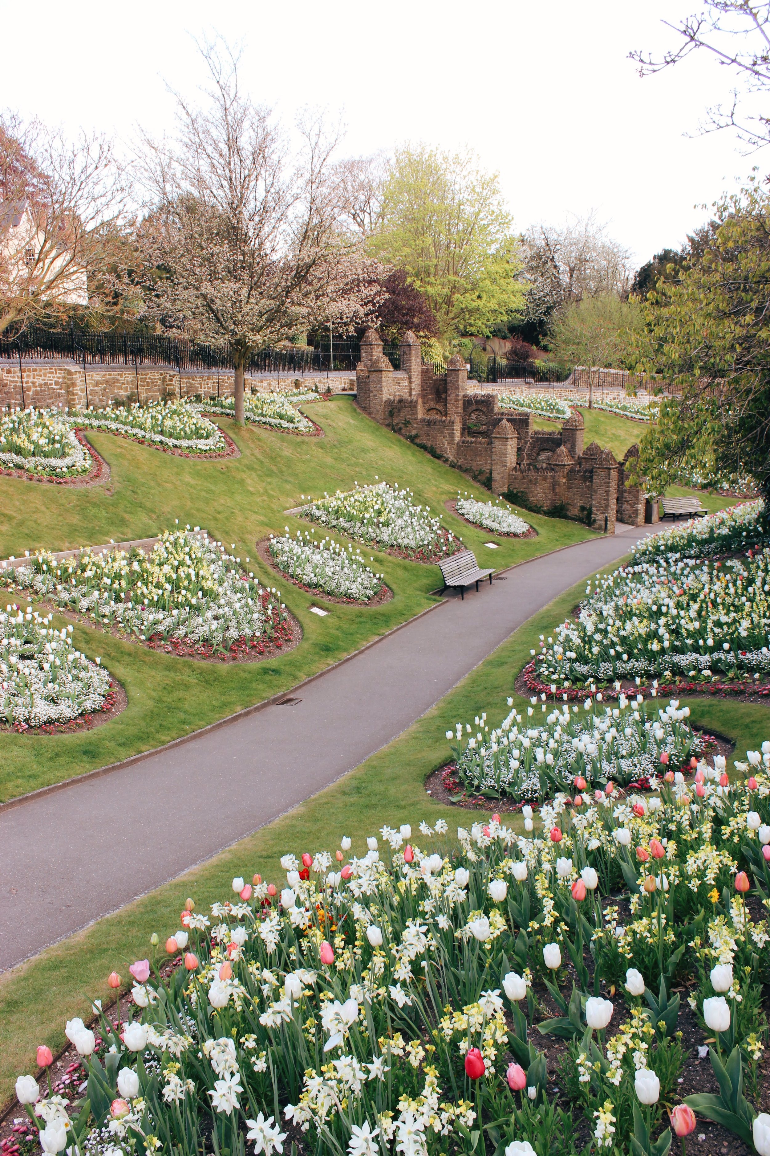 guildford castle tulip garden 2.jpg