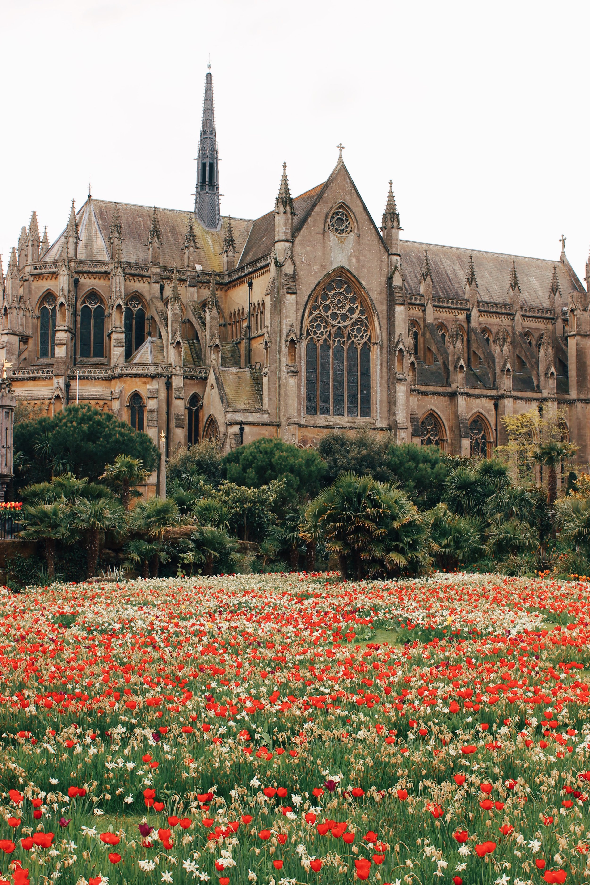 arundel castle garden tulips16.jpg