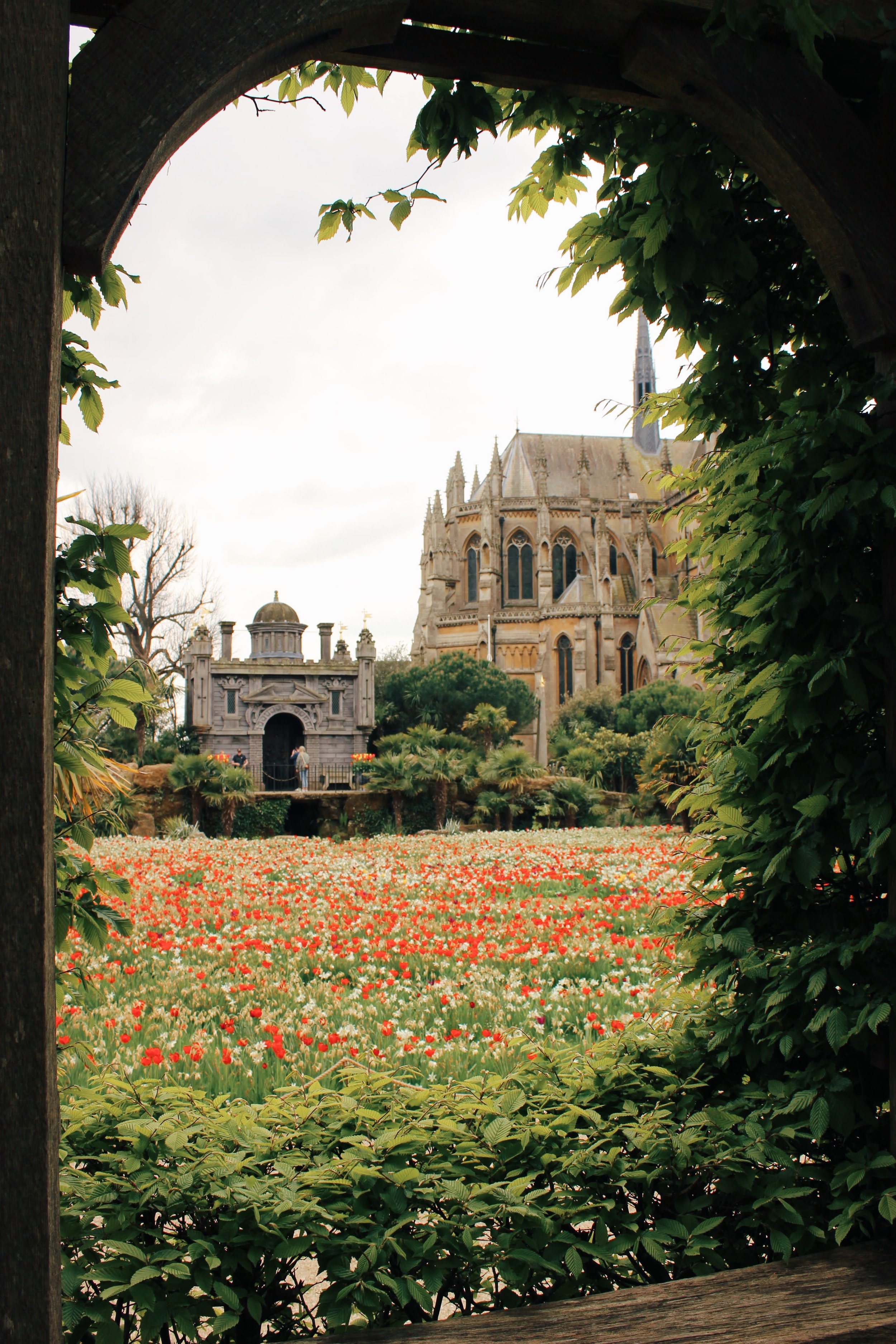 arundel castle garden tulips9.jpg