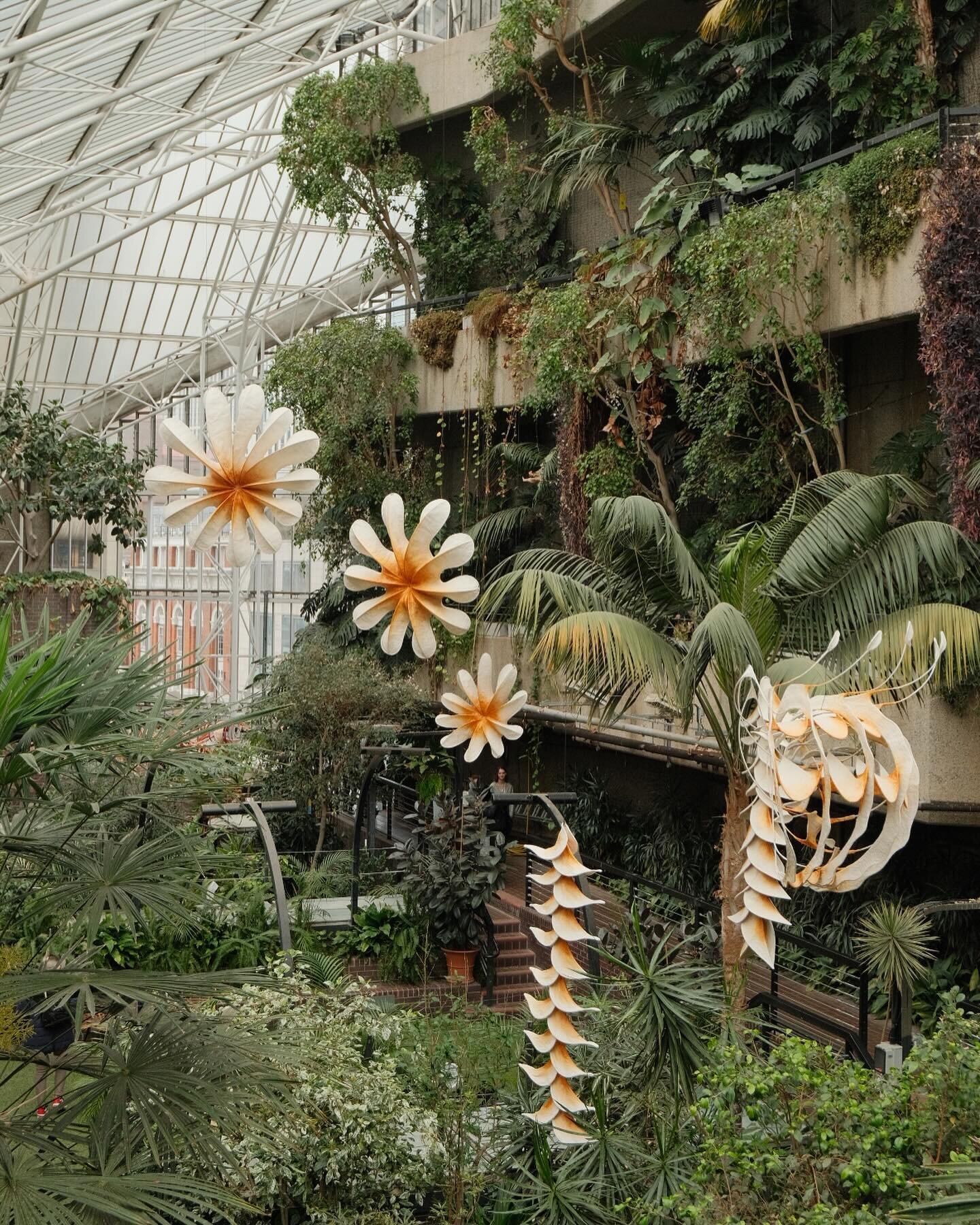 The amazing Ranjani Shettar sculptures at the Barbican Conservatory. I&rsquo;ve been trying to see this for months and finally managed to score the free tickets this weekend! Do see it if you can, it was such a delight. Unraveled is on show in the ar