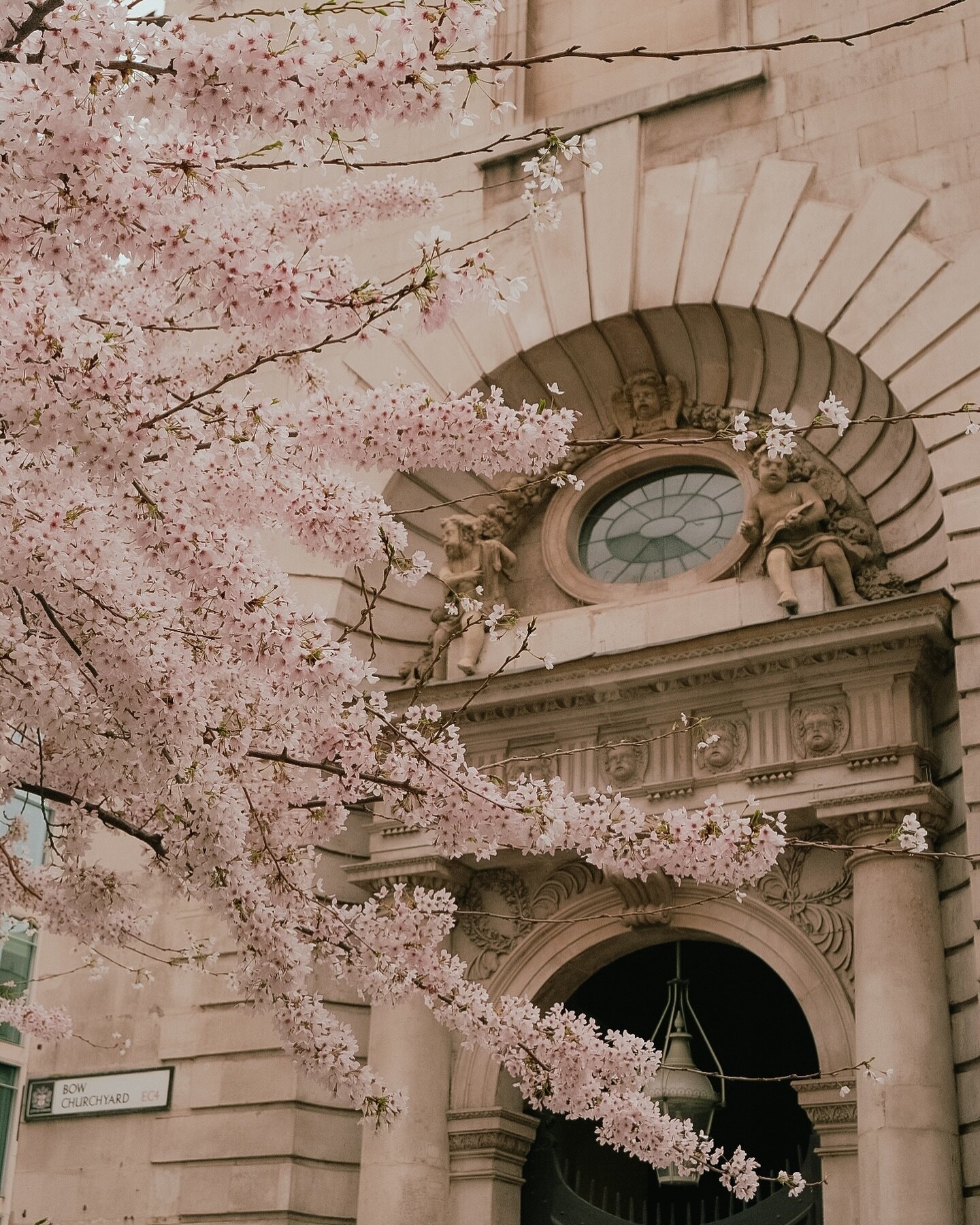 Spring blossom in the city 🌸
.
.
.
#springinlondon #blossomwatch #cityoflondon #prettycitylondon