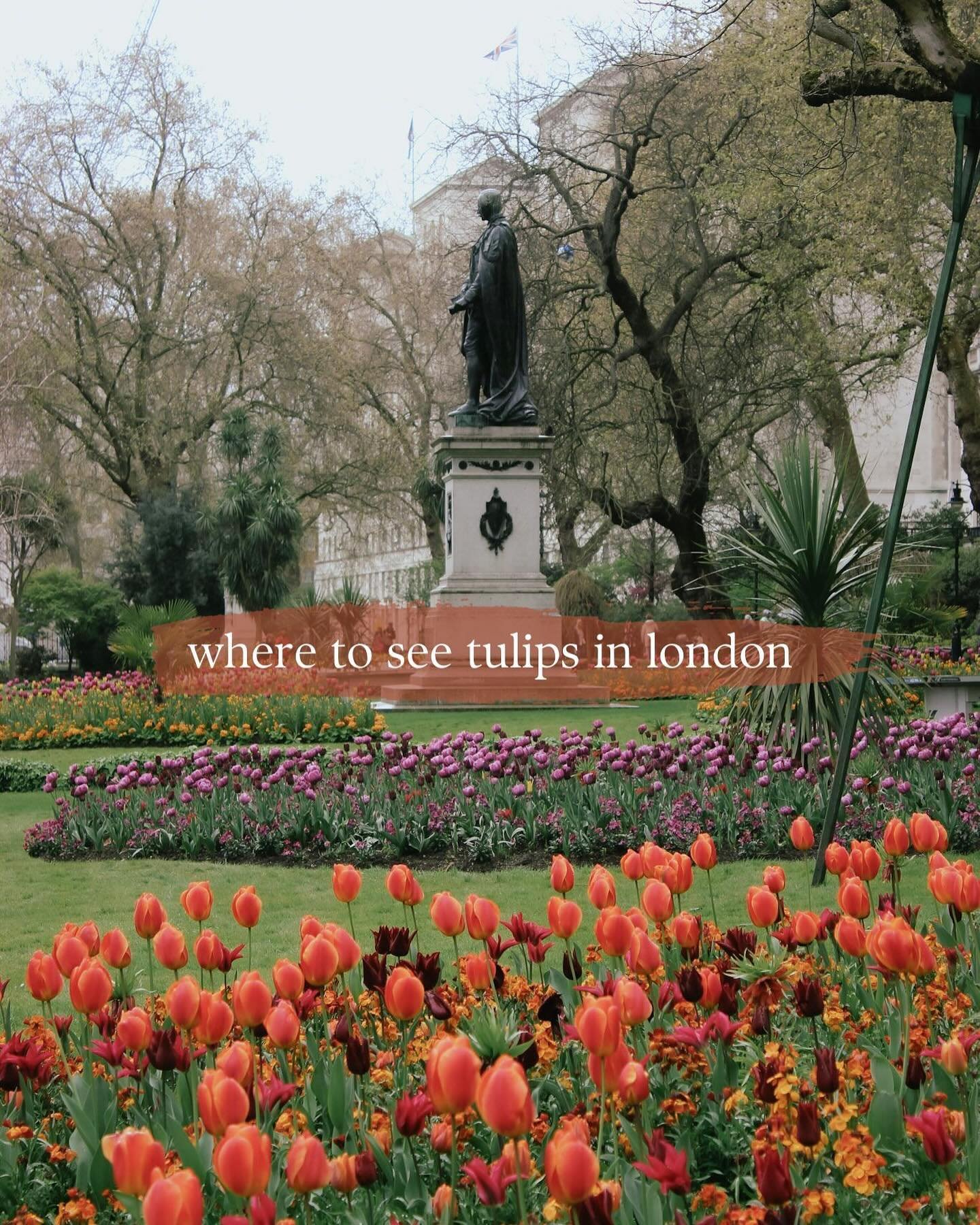 Tulip time is here, and I have traversed London and the South East for the best tulip gardens over the last several years. Here are my favourite spots to see tulips in London:
🌷Victoria Embankment Gardens
🌷Hampton Court Palace
🌷Cannizaro Park
🌷Ha